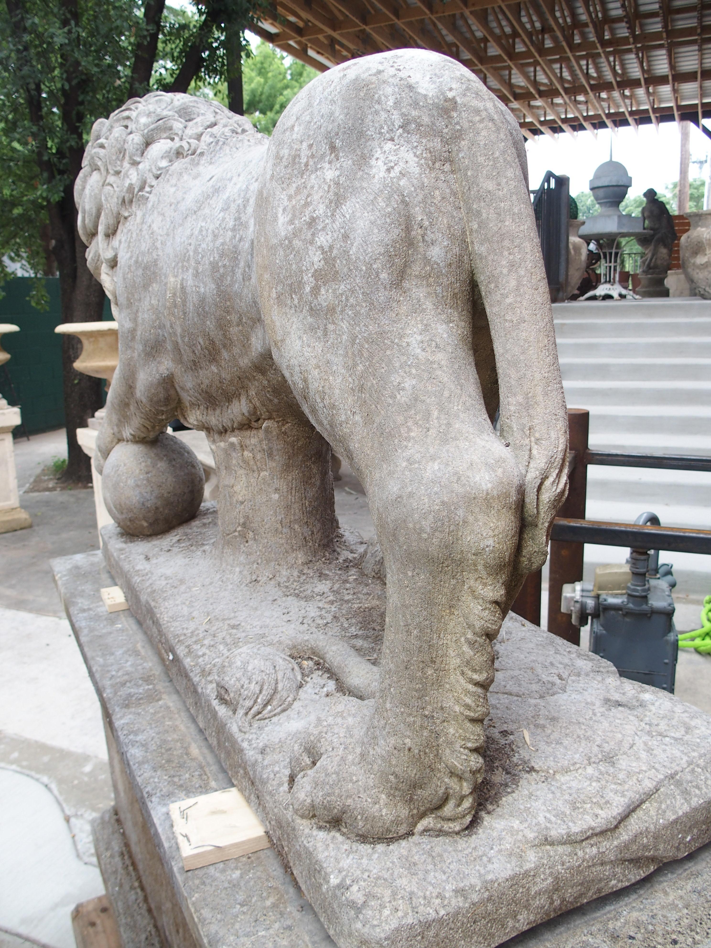 I Leoni di Firenze, coppia monumentale di leoni medicei in pietra calcarea scolpita in Italia In condizioni buone in vendita a Dallas, TX