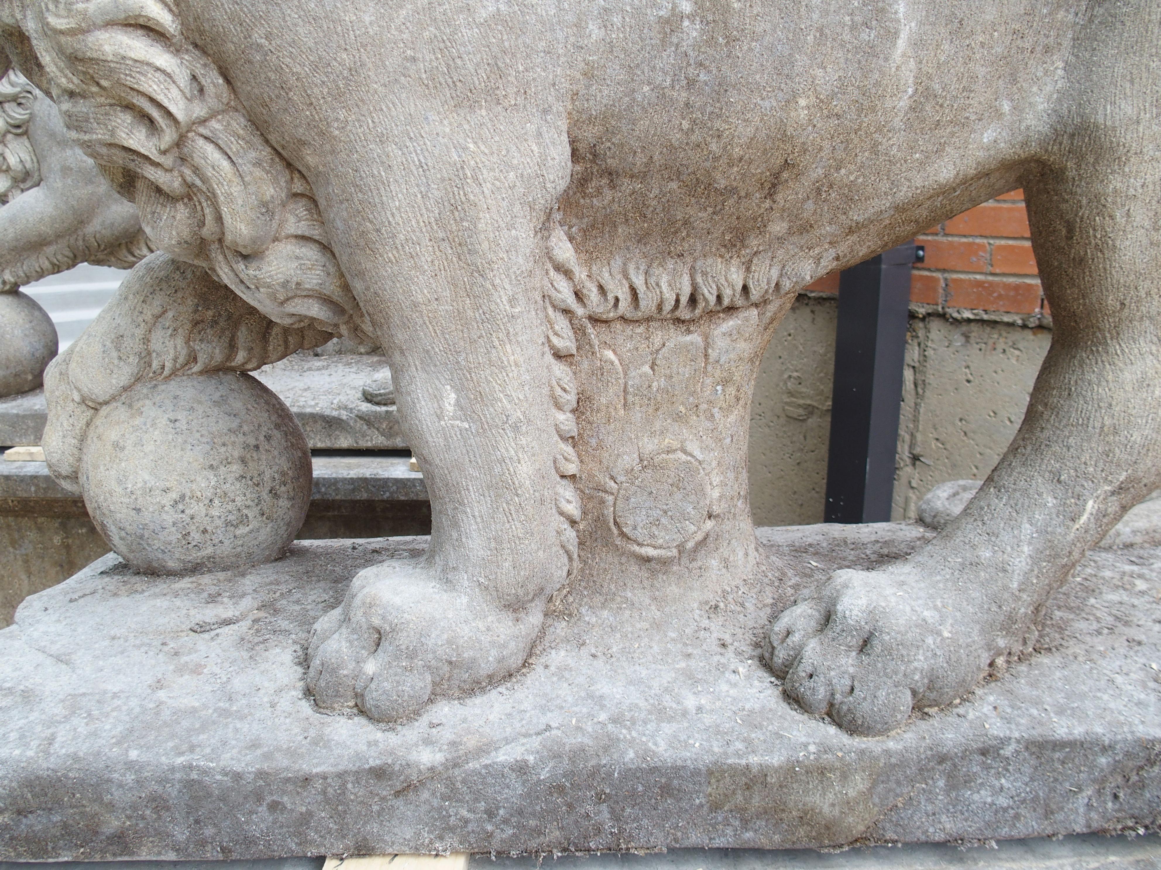 XXI secolo e contemporaneo I Leoni di Firenze, coppia monumentale di leoni medicei in pietra calcarea scolpita in Italia in vendita