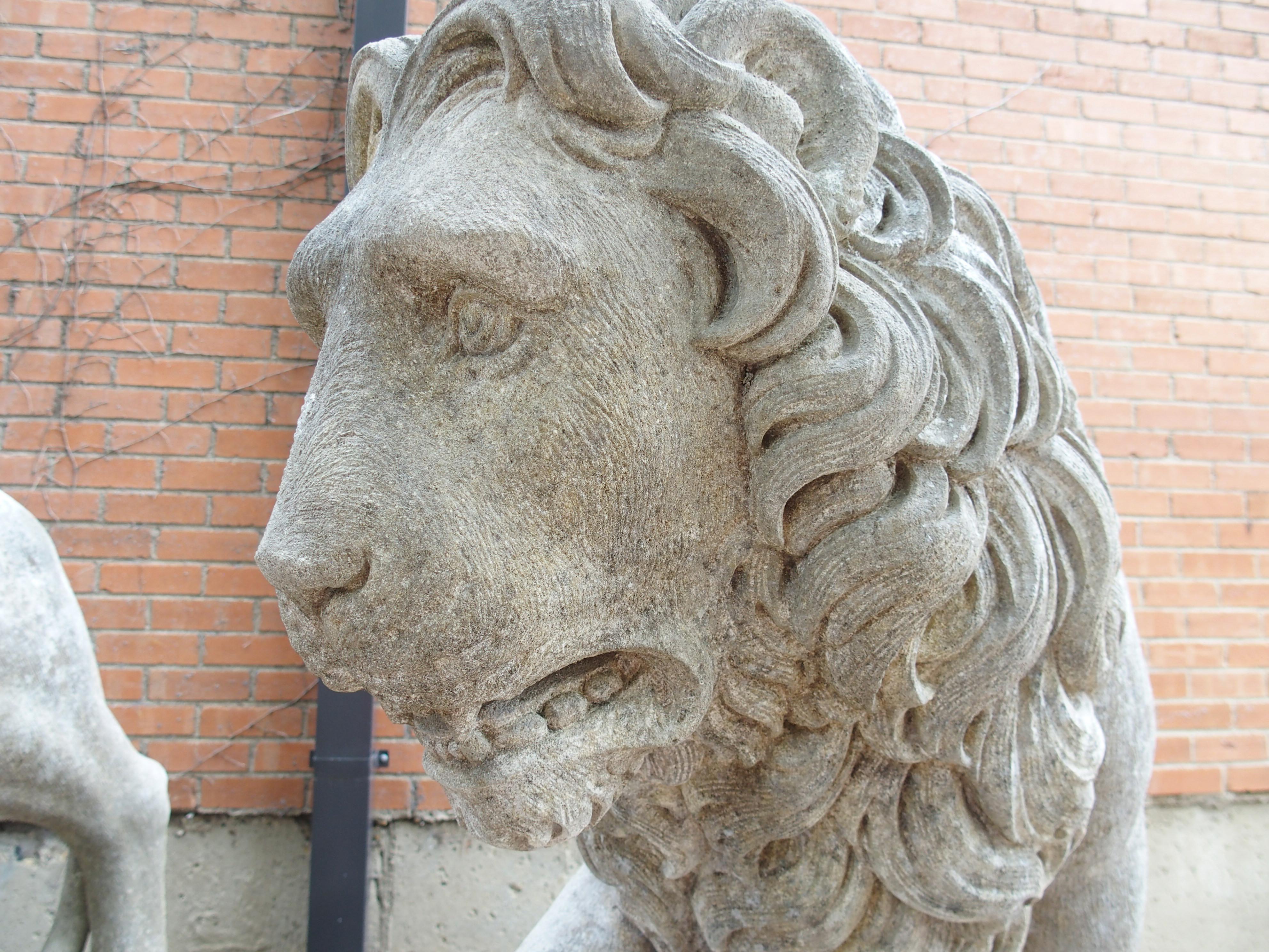 Pietra I Leoni di Firenze, coppia monumentale di leoni medicei in pietra calcarea scolpita in Italia in vendita