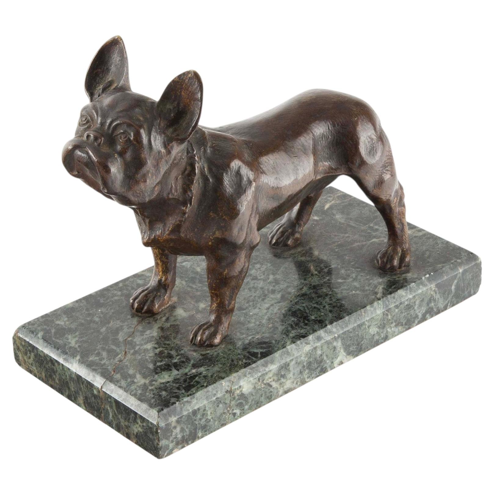 Il piccolo guardiano: studio in bronzo di un bulldog francese su base di marmo