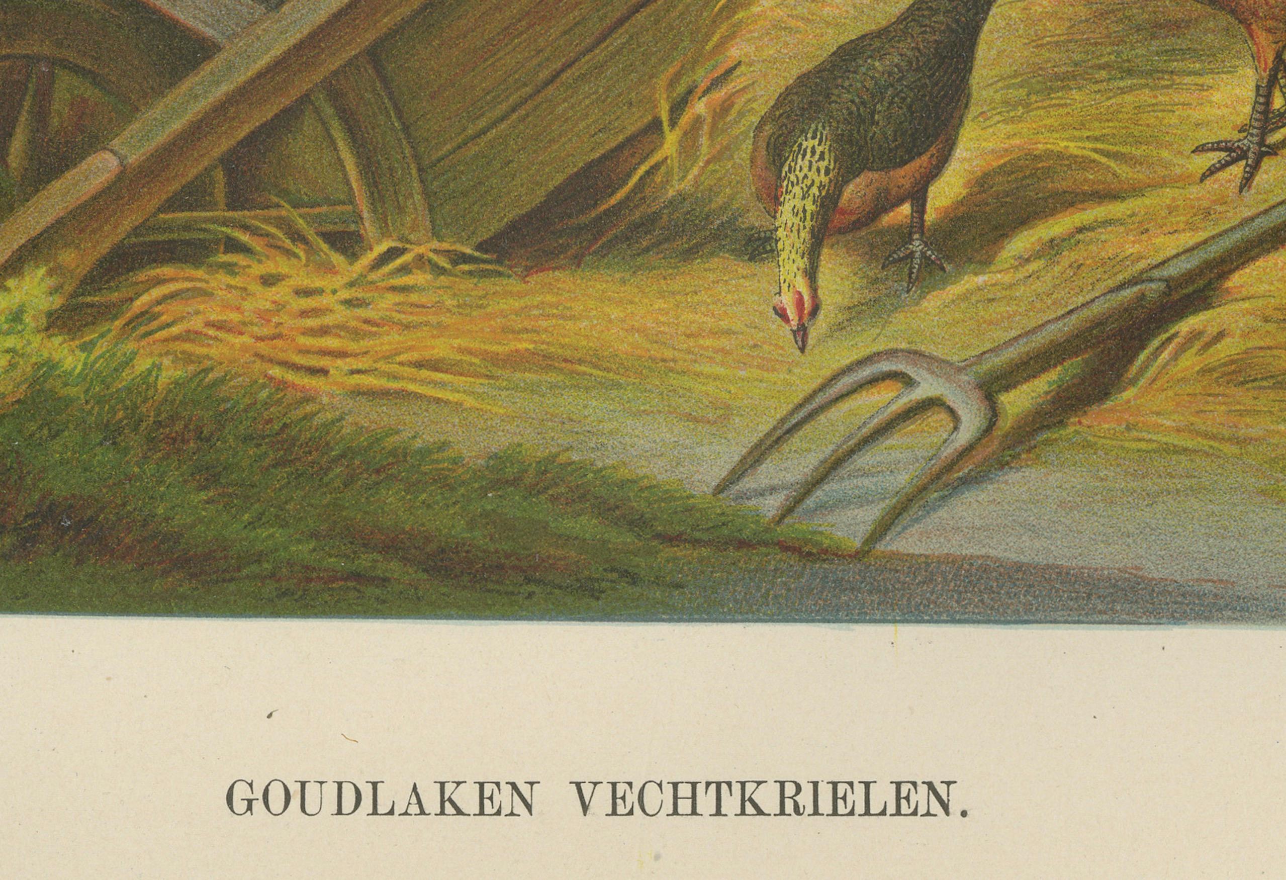 The Lively Golden Bantam Game Fowl – Eine seltene Geflügel-Lithographie aus dem 19. Jahrhundert im Zustand „Gut“ im Angebot in Langweer, NL