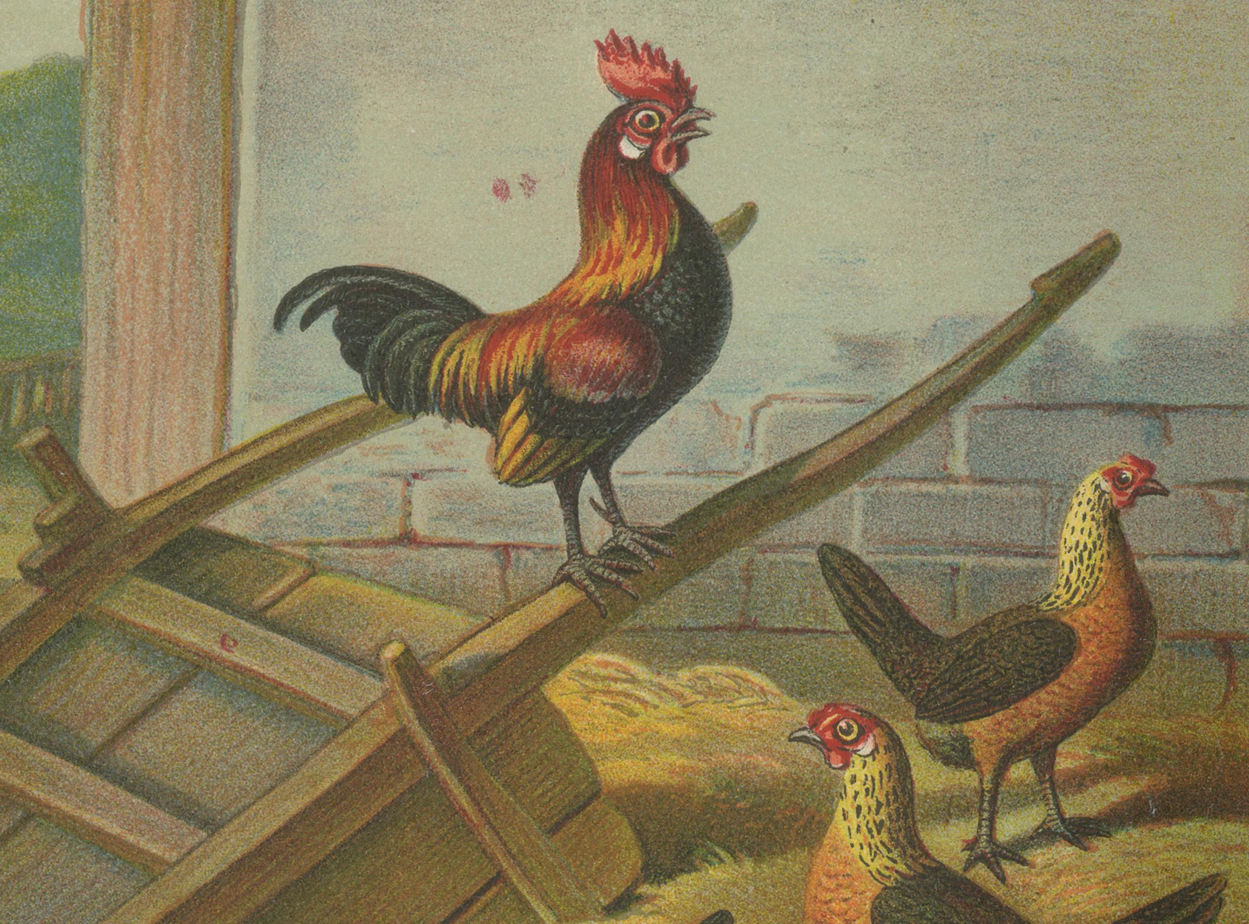 The Lively Golden Bantam Game Fowl – Eine seltene Geflügel-Lithographie aus dem 19. Jahrhundert (Spätes 19. Jahrhundert) im Angebot