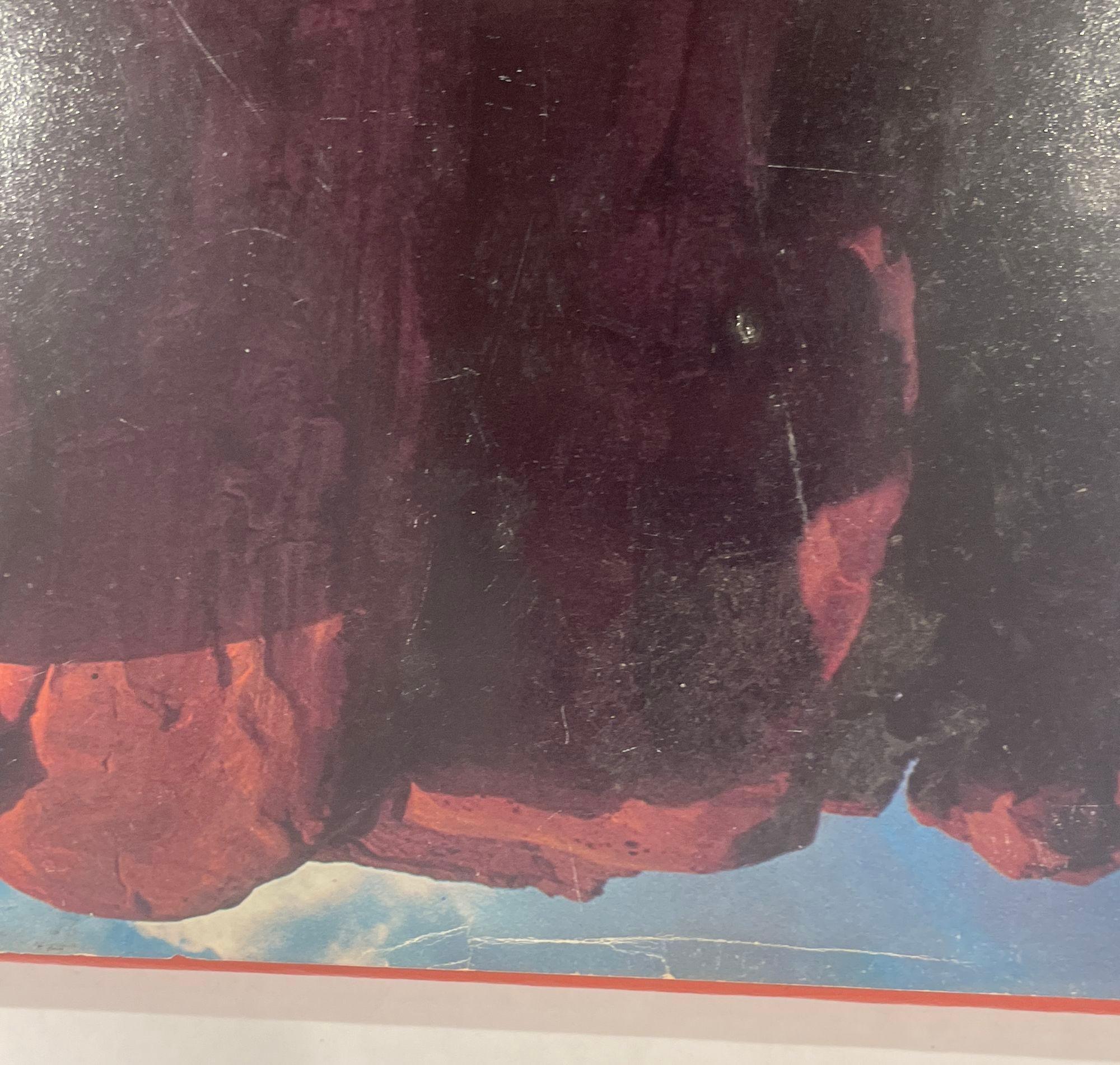 The Magnificent Continent Rand McNally et Iain Parsons, 1975 en vente 6