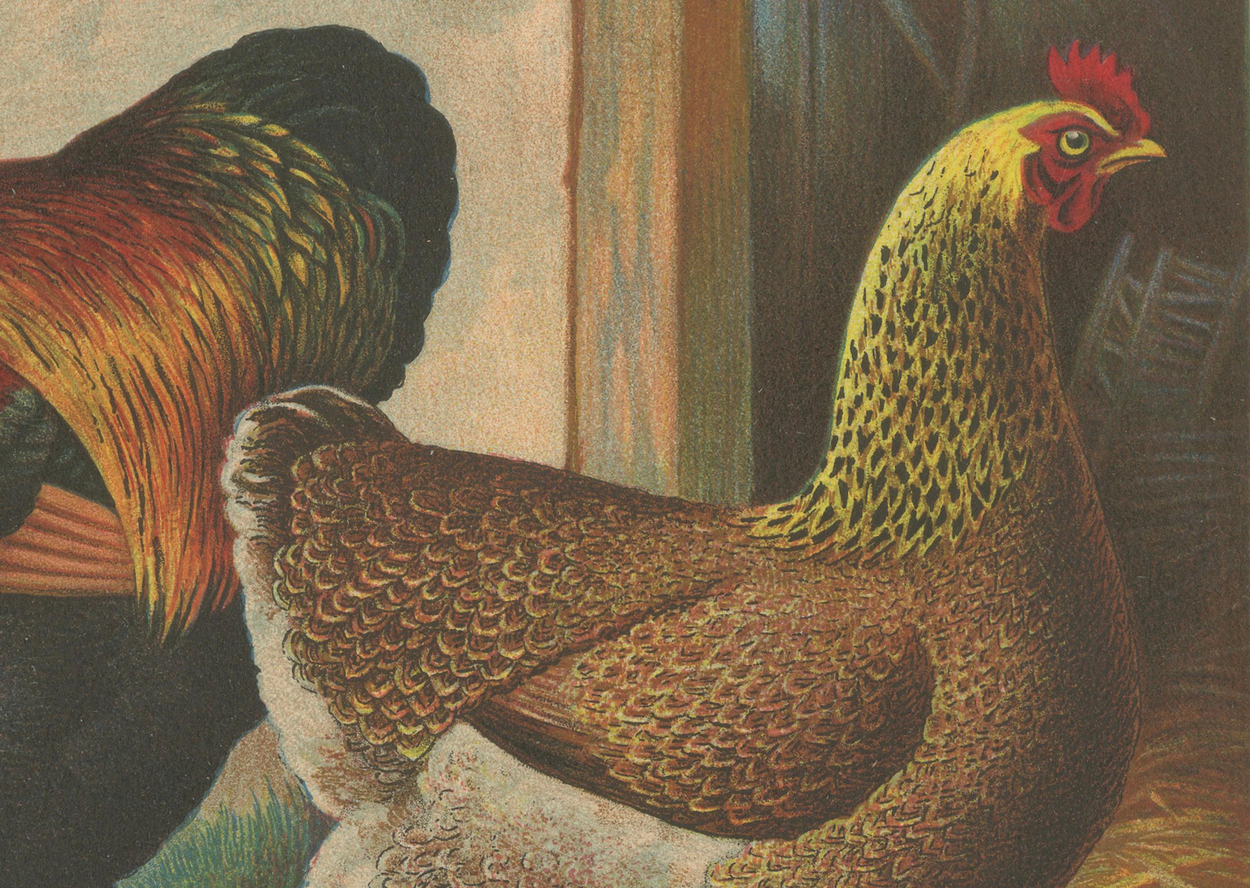 The Magnificent Partridge Cochinchina - A Rare 19th Century Poultry Lithograph im Zustand „Gut“ im Angebot in Langweer, NL