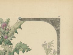 Il cardo Majestic: Uno studio Art Nouveau di Henry Lambert, 1896