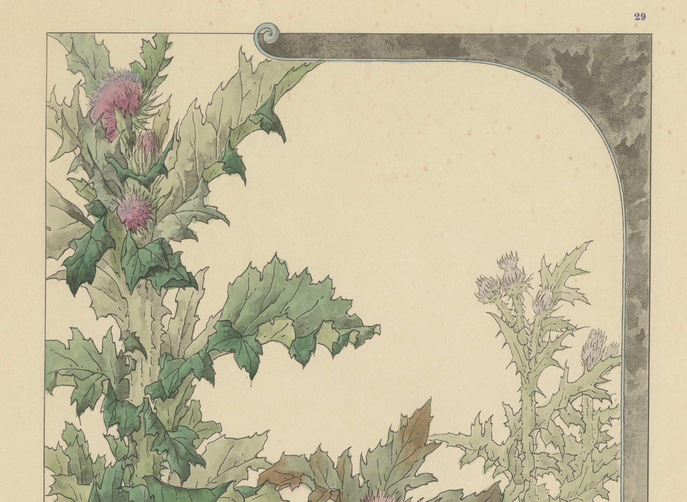 Fin du XIXe siècle Le chardon majestueux : une étude Art nouveau d'Henry Lambert, 1896 en vente