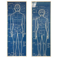 "The Measure of Man" Framed Posters, a Pair