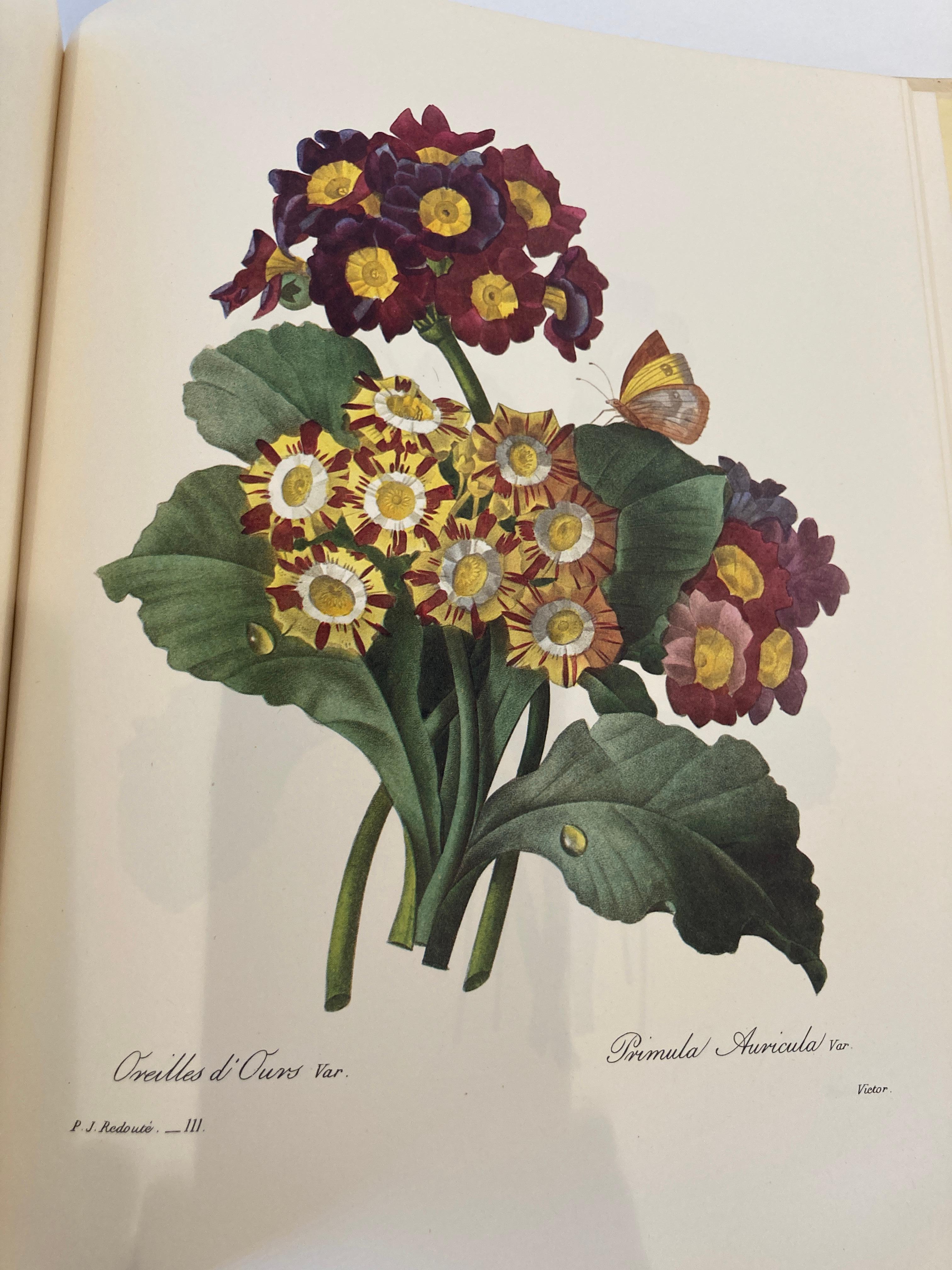 The Most Beautiful Flowers Book by Pierre-Joseph Redouté Collector Book 2