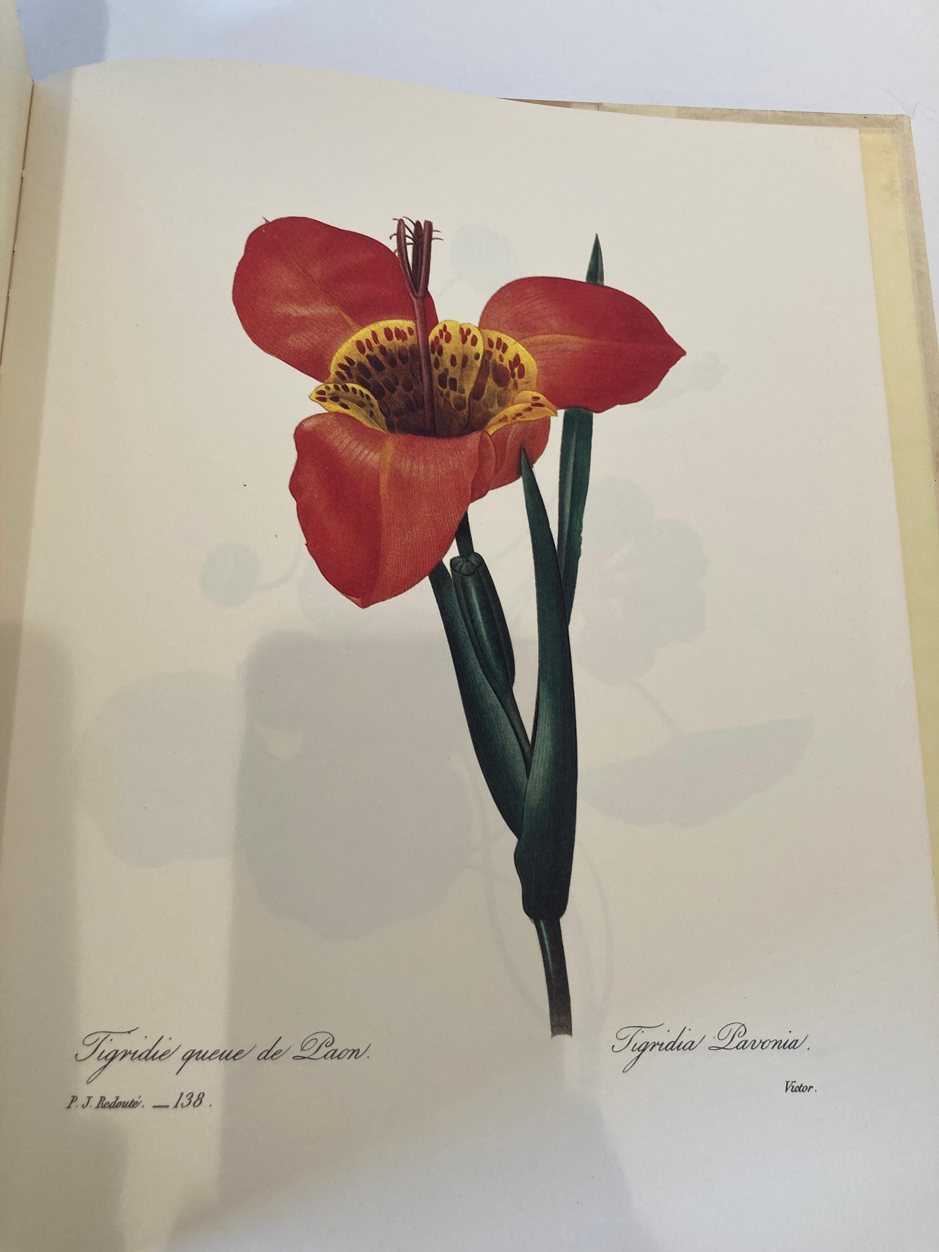 The Most Beautiful Flowers Book by Pierre-Joseph Redouté Collector Book 3