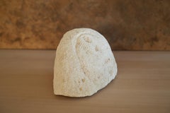 The Most Primitive Face Sculpture by Jean-Baptiste Van Den Heede