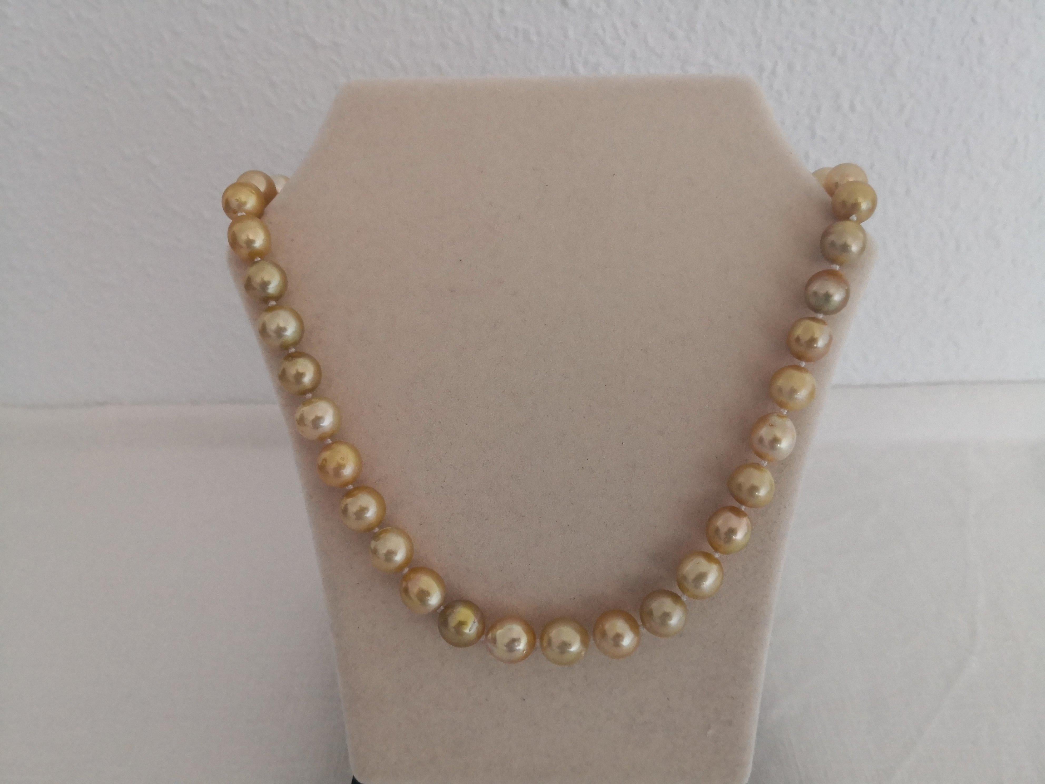 Natural Golden Color South Sea Pearls In New Condition For Sale In Cordoba, ES