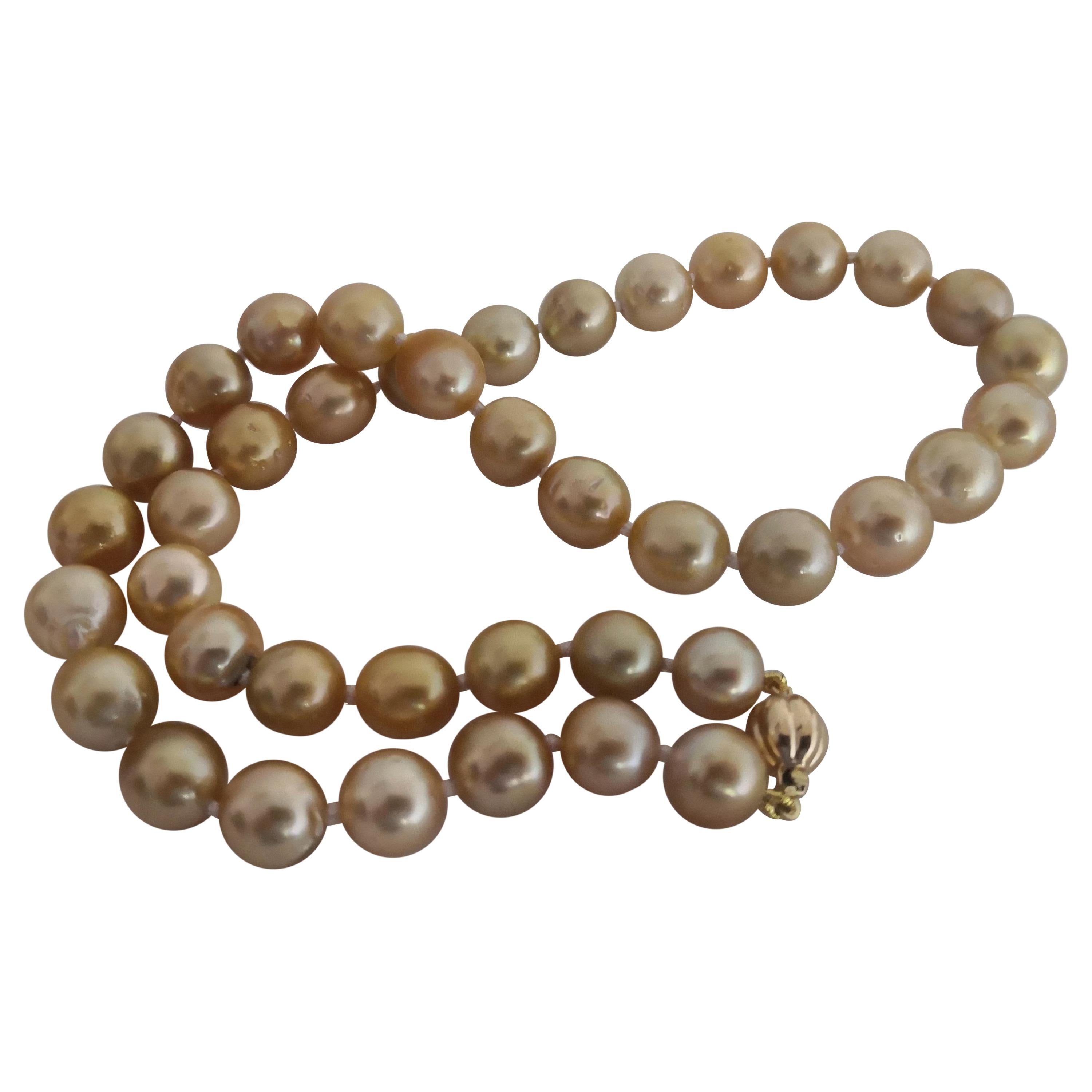 Natural Golden Color South Sea Pearls For Sale