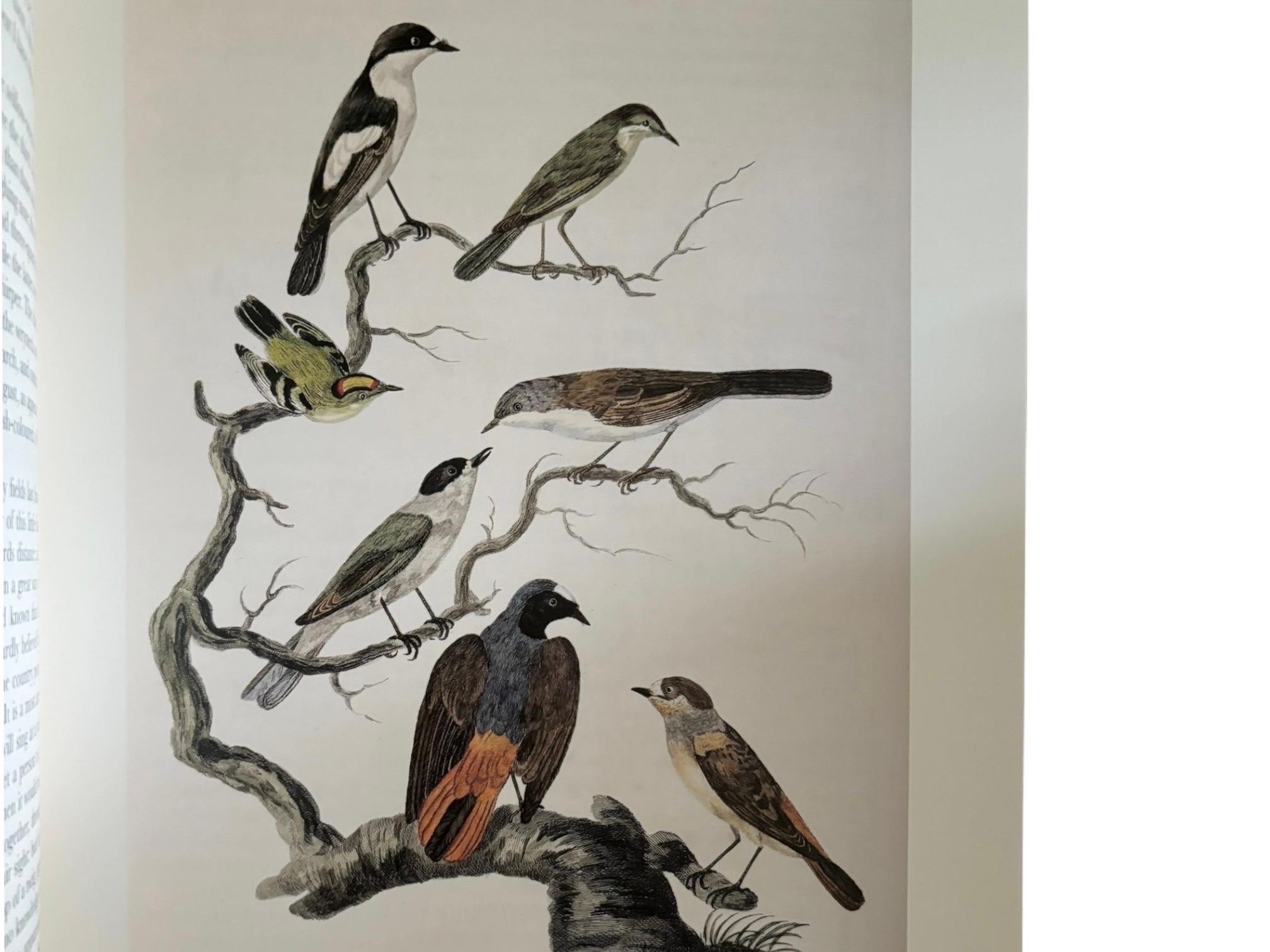Contemporary The Natural History of Selbourne by Gilbert White For Sale