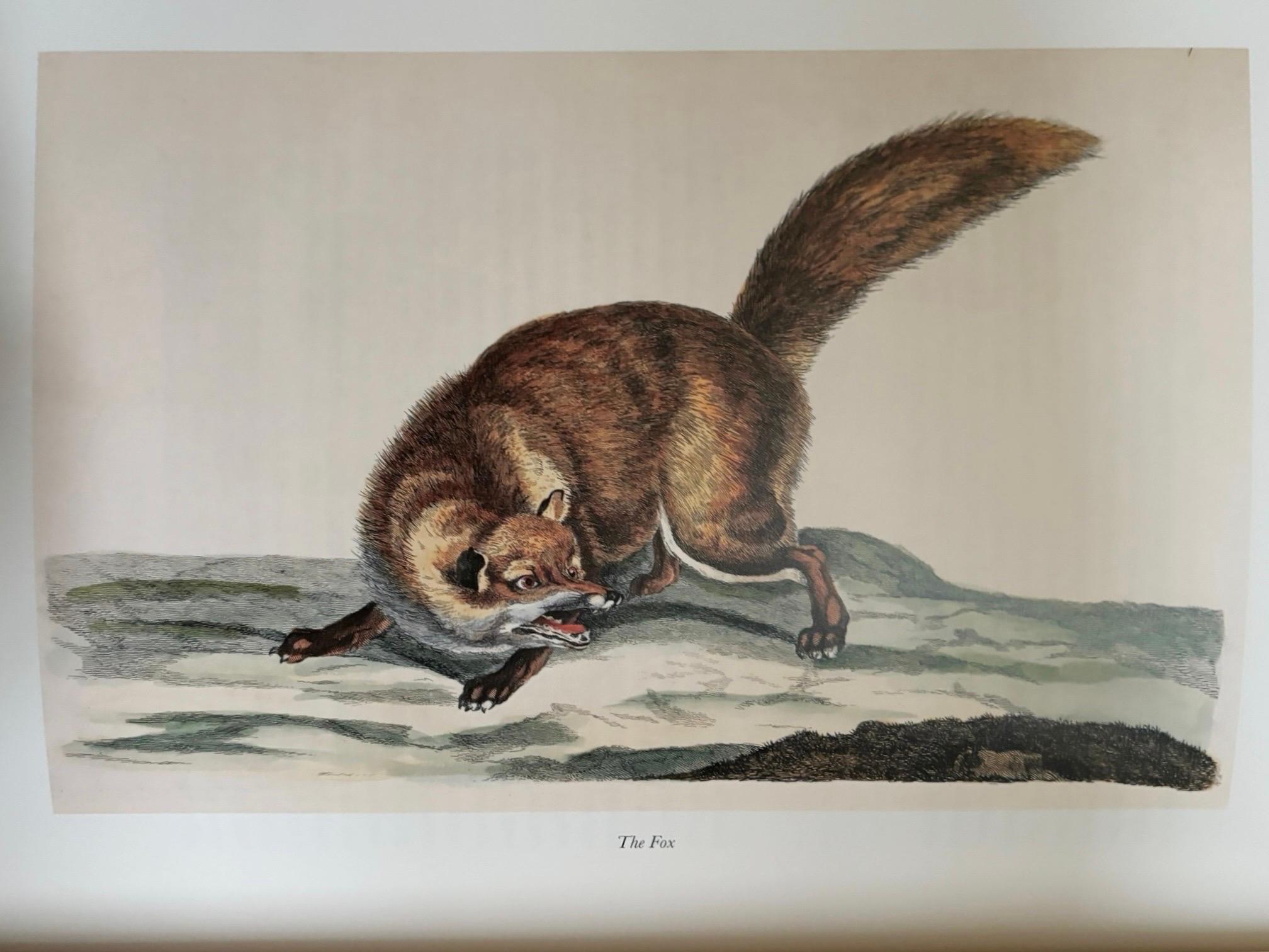 The Natural History of Selbourne by Gilbert White For Sale 1