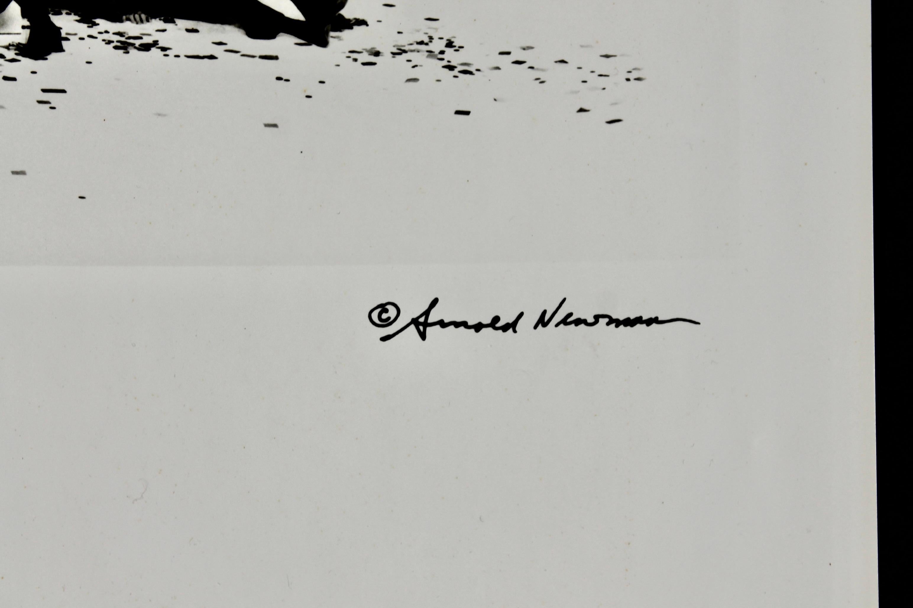 Hand-Crafted Arnold Newman 
