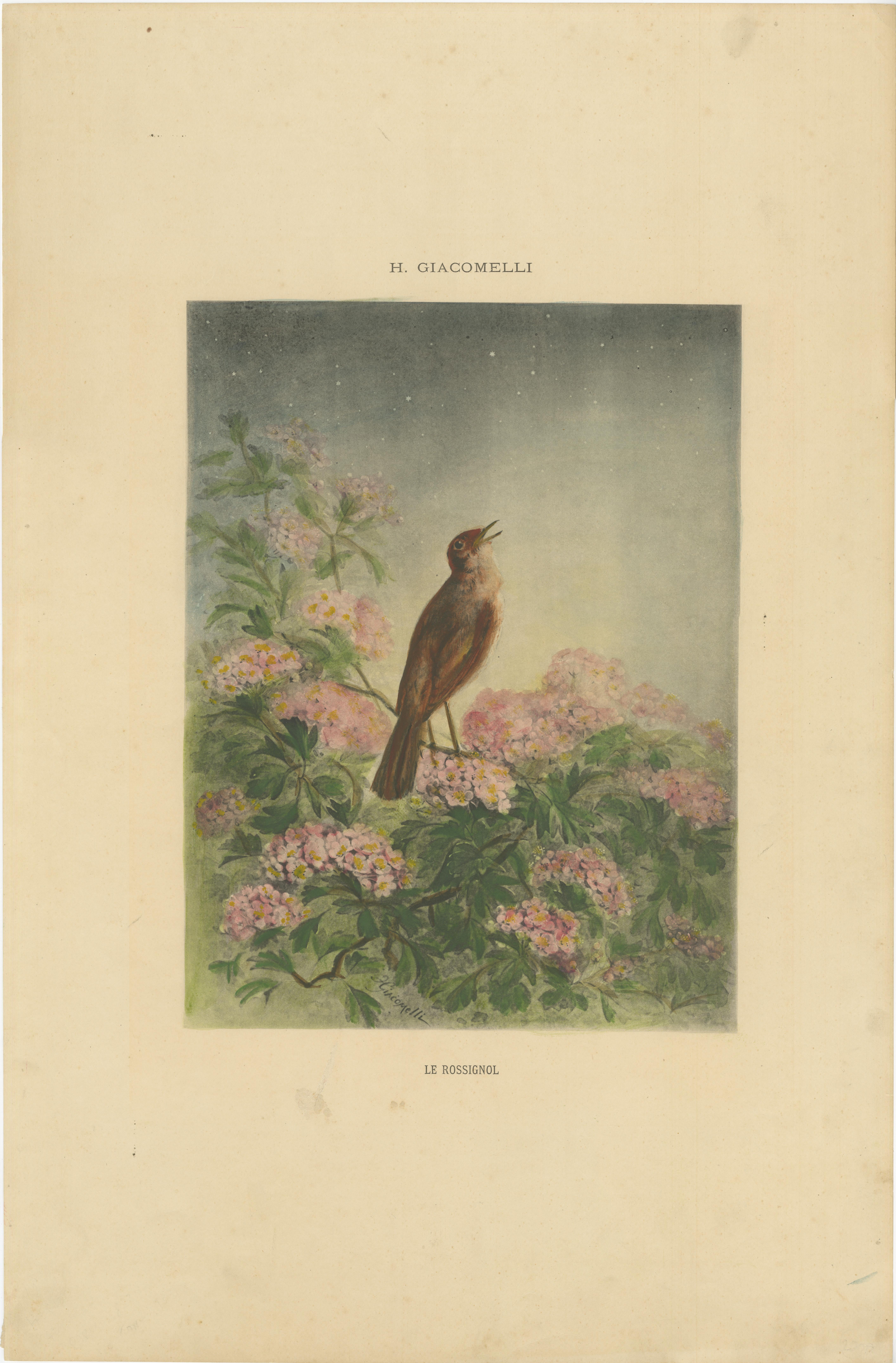 The Nightingale's Song - Giacomellis Blumen- und Vogelkunst, CIRCA 1891 im Zustand „Gut“ im Angebot in Langweer, NL