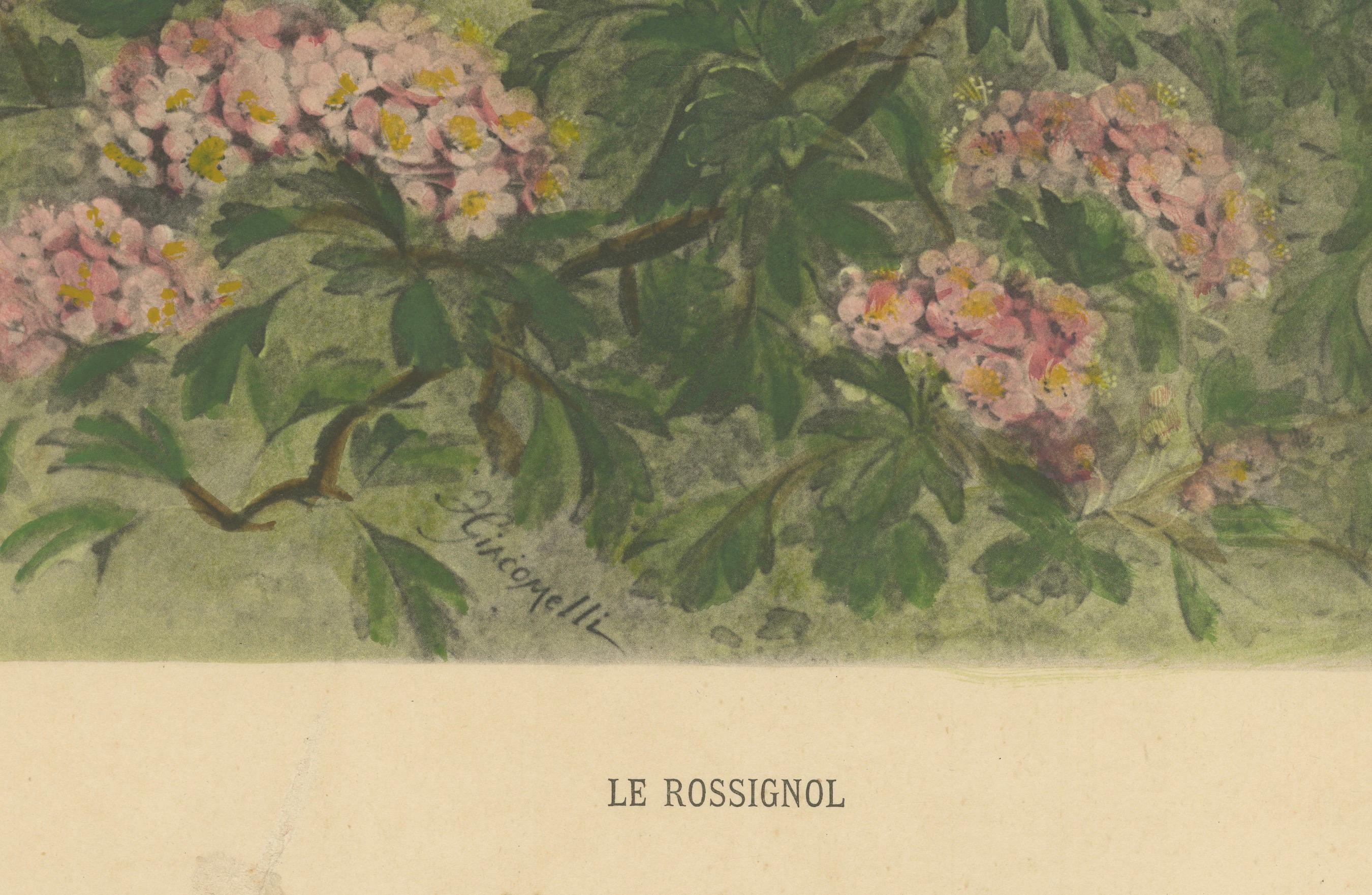 The Nightingale's Song - Giacomellis Blumen- und Vogelkunst, CIRCA 1891 (Spätes 19. Jahrhundert) im Angebot