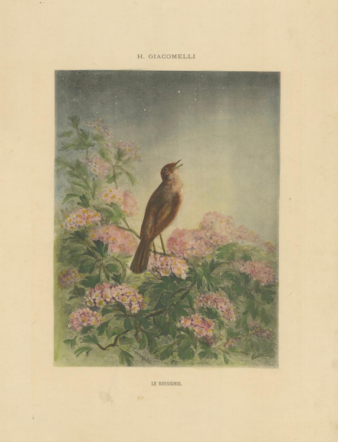 The Nightingale's Song - Giacomellis Blumen- und Vogelkunst, CIRCA 1891 im Angebot 2