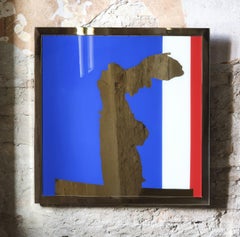 La Nike di Samotracia, Icona Decorazione da parete di Davide Medri
