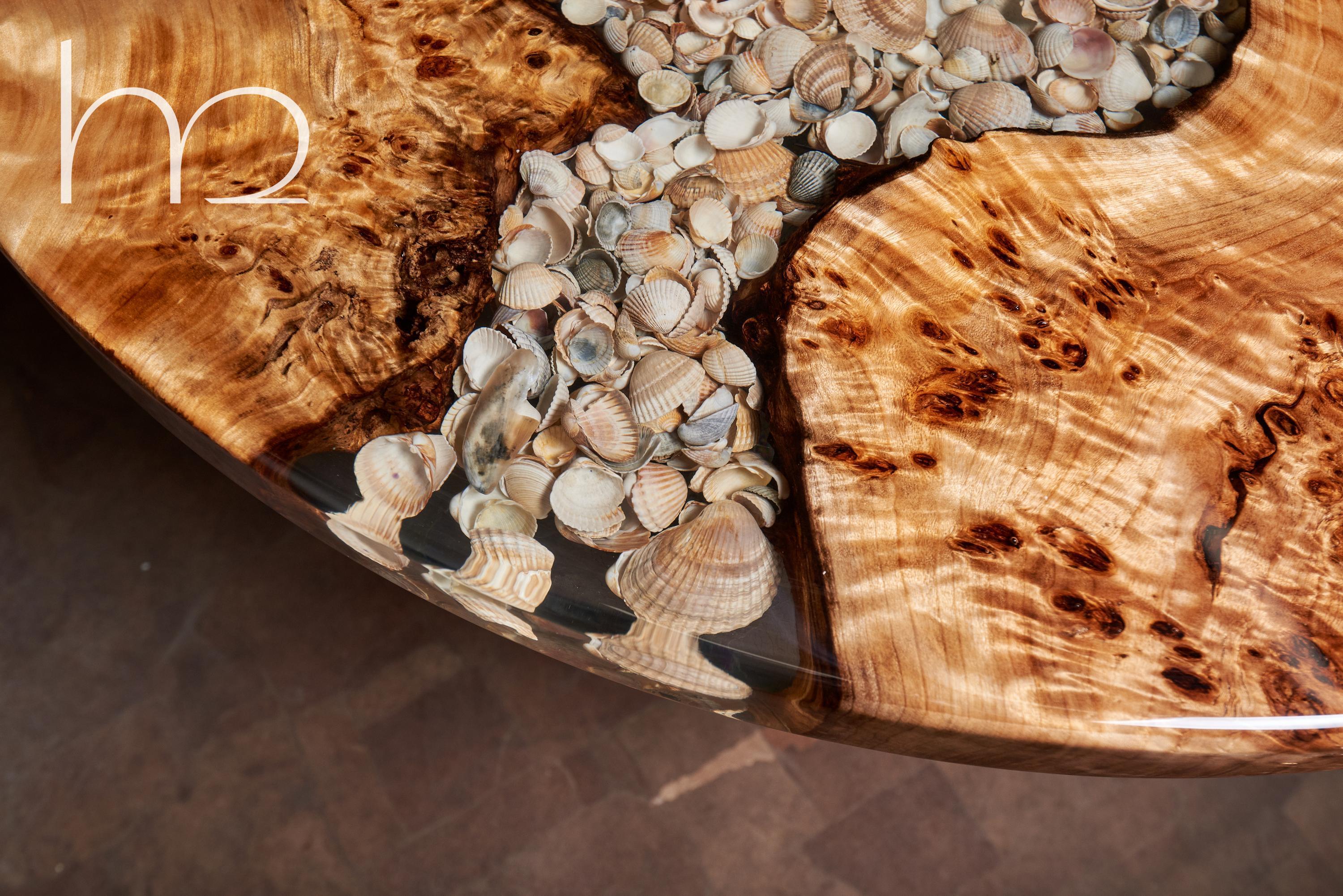 Contemporary Old Reef Old Wood Burl and Shells Marine Theme Handcrafted Modern Coffee Table For Sale