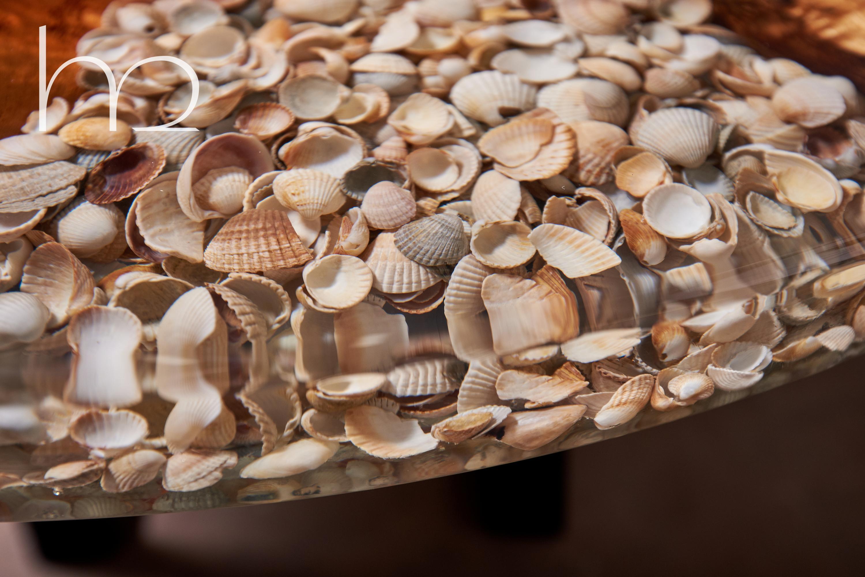 Old Reef Old Wood Burl and Shells Marine Theme Handcrafted Modern Coffee Table In New Condition For Sale In København N, DK
