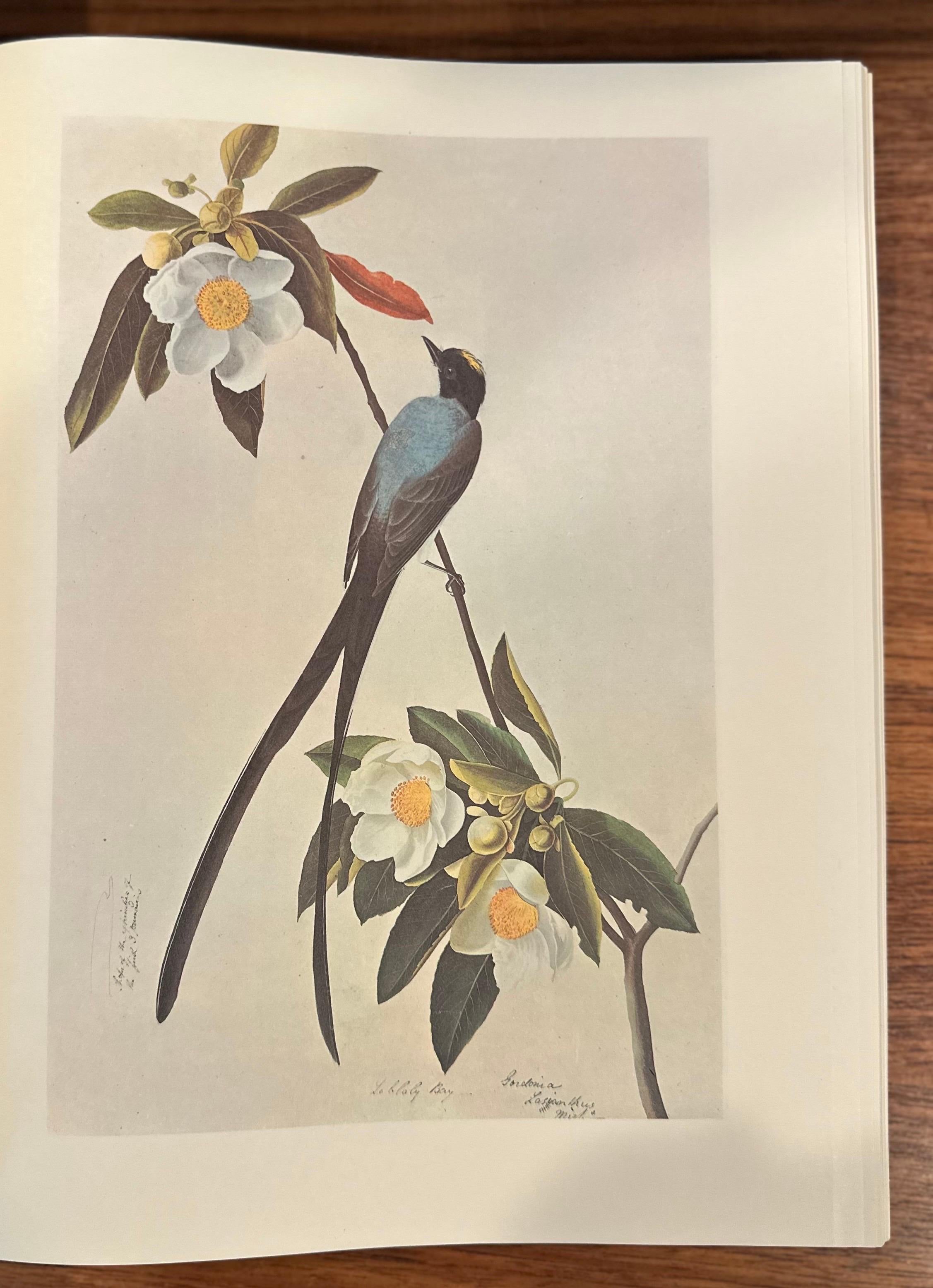 Les peintures originales à l'aquarelle de John James Audubon - Deux volumes en vente 5