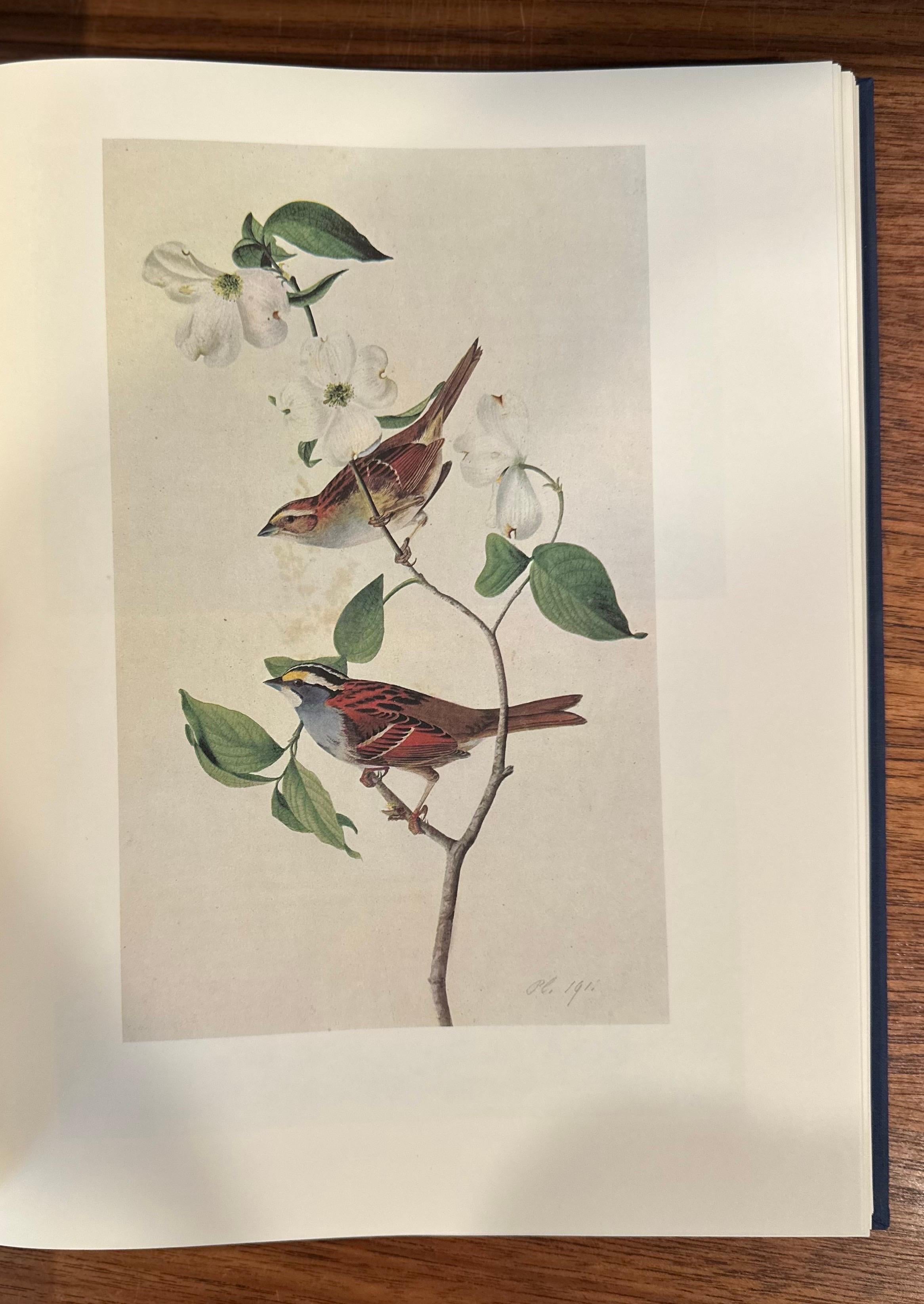 Les peintures originales à l'aquarelle de John James Audubon - Deux volumes en vente 9