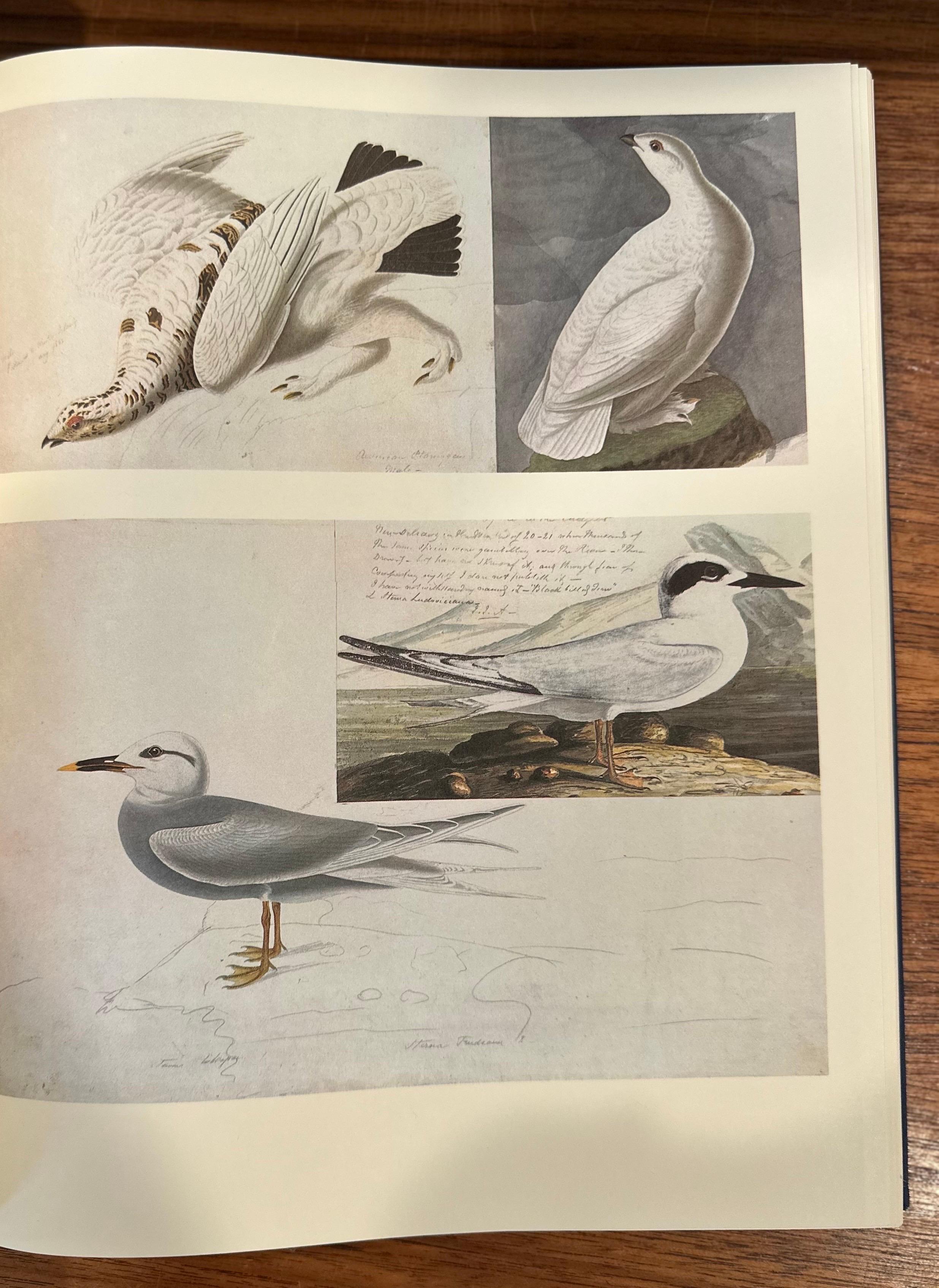 Les peintures originales à l'aquarelle de John James Audubon - Deux volumes en vente 10