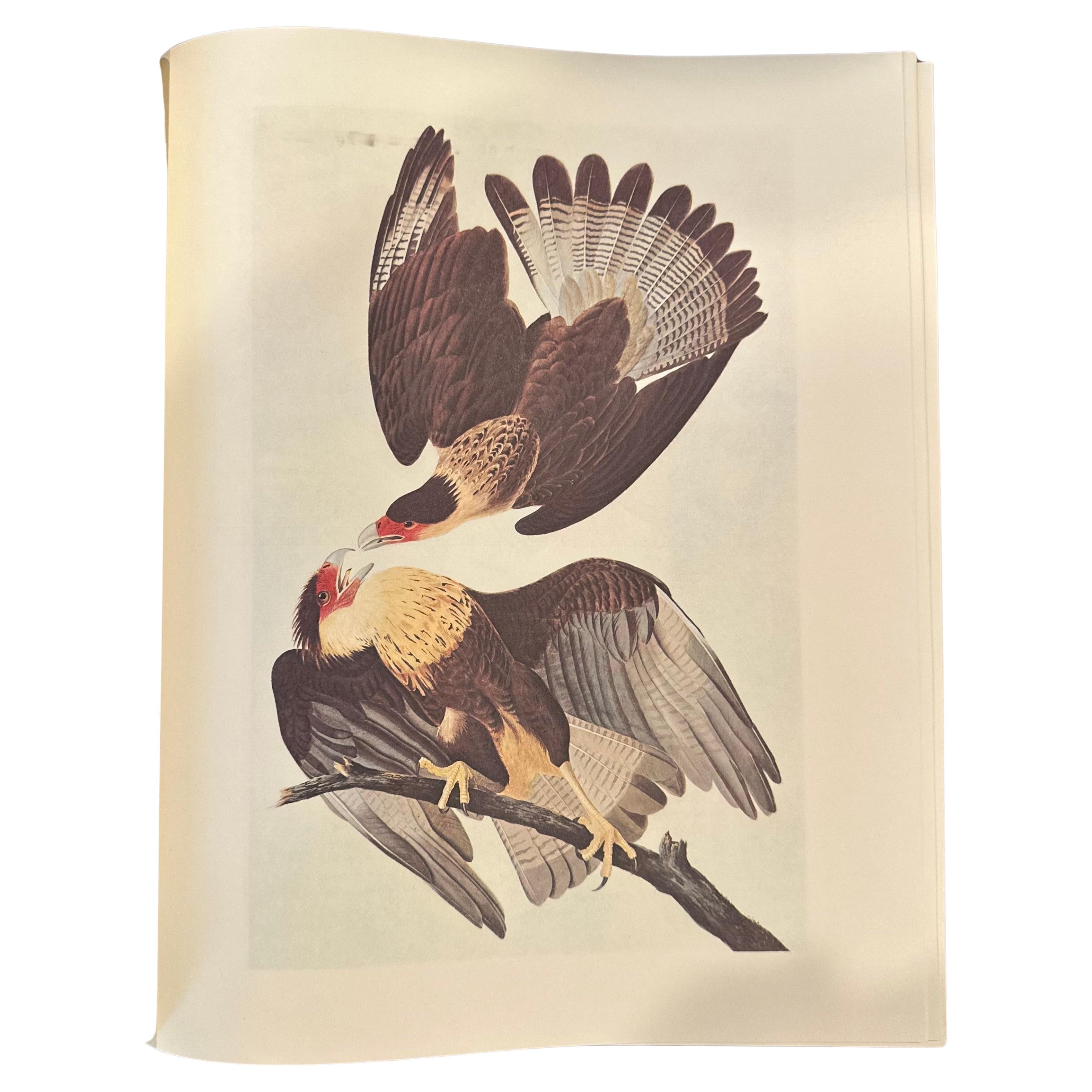Américain Les peintures originales à l'aquarelle de John James Audubon - Deux volumes en vente