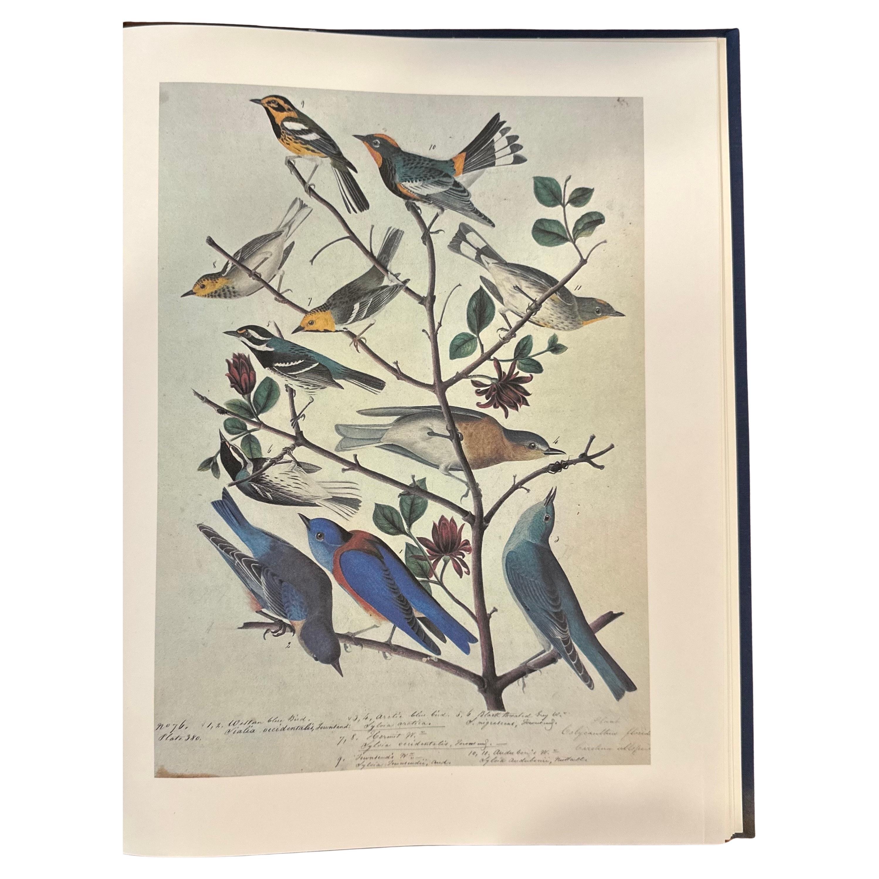 Les peintures originales à l'aquarelle de John James Audubon - Deux volumes Bon état - En vente à San Diego, CA