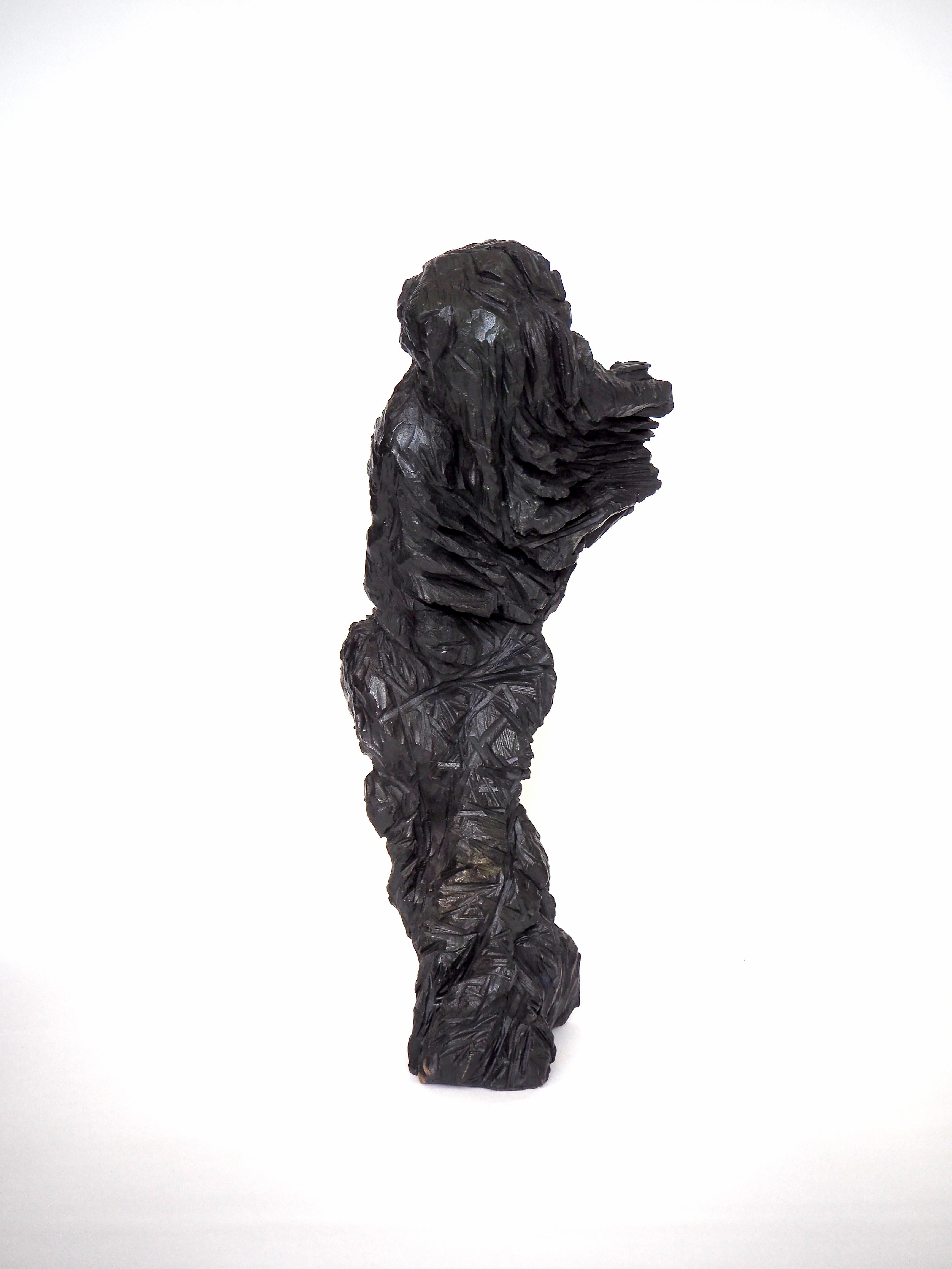 The Other, 2018, is a figural form of a being in motion, originally carved from a single piece of English oak and then cast into bronze. 

The sculpture is part of a body of works that explore the spiritual state of seeking and understanding of