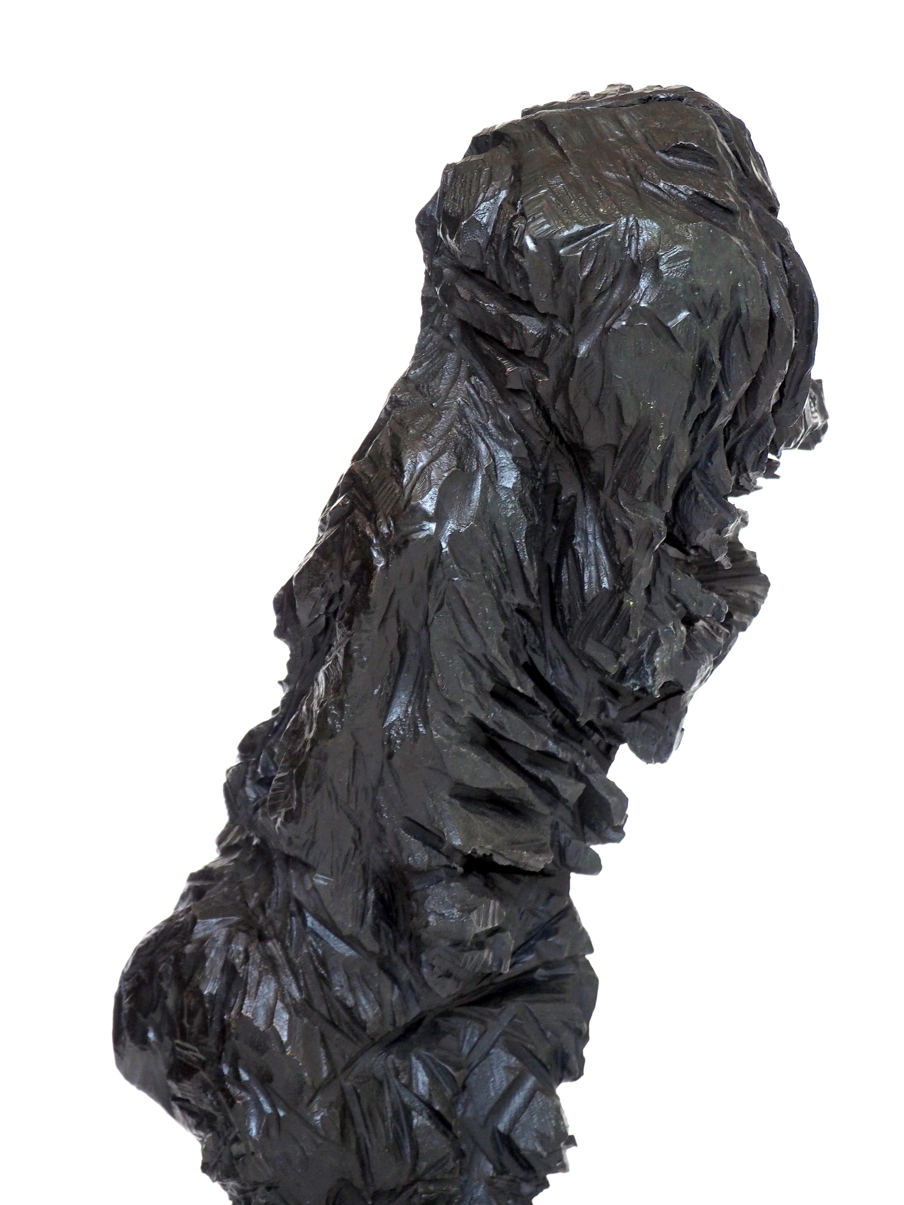 Organic Modern The Other, Contemporary Original Bronze Sculpture by Artist Jonathan Roson For Sale