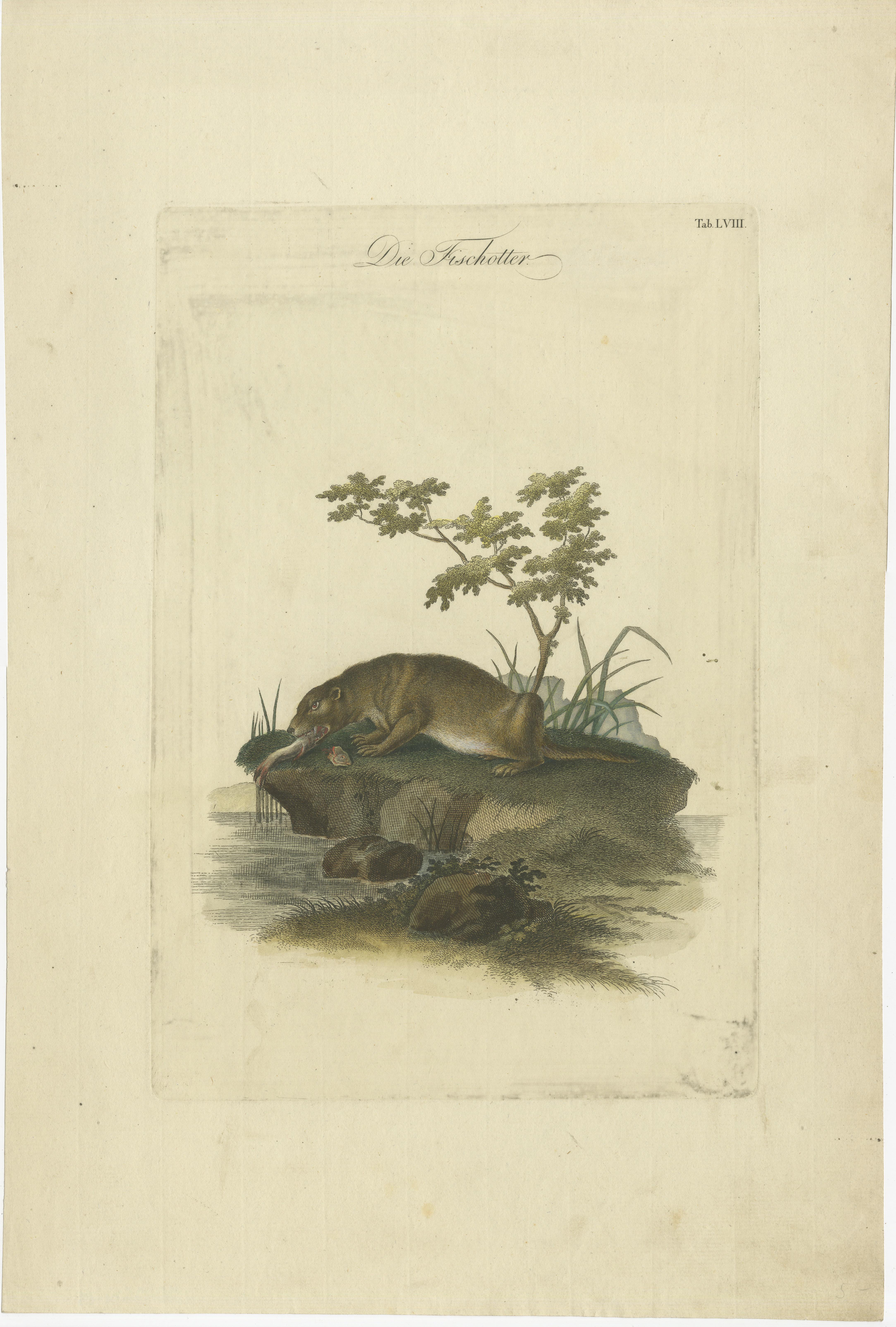 Cette gravure, intitulée 