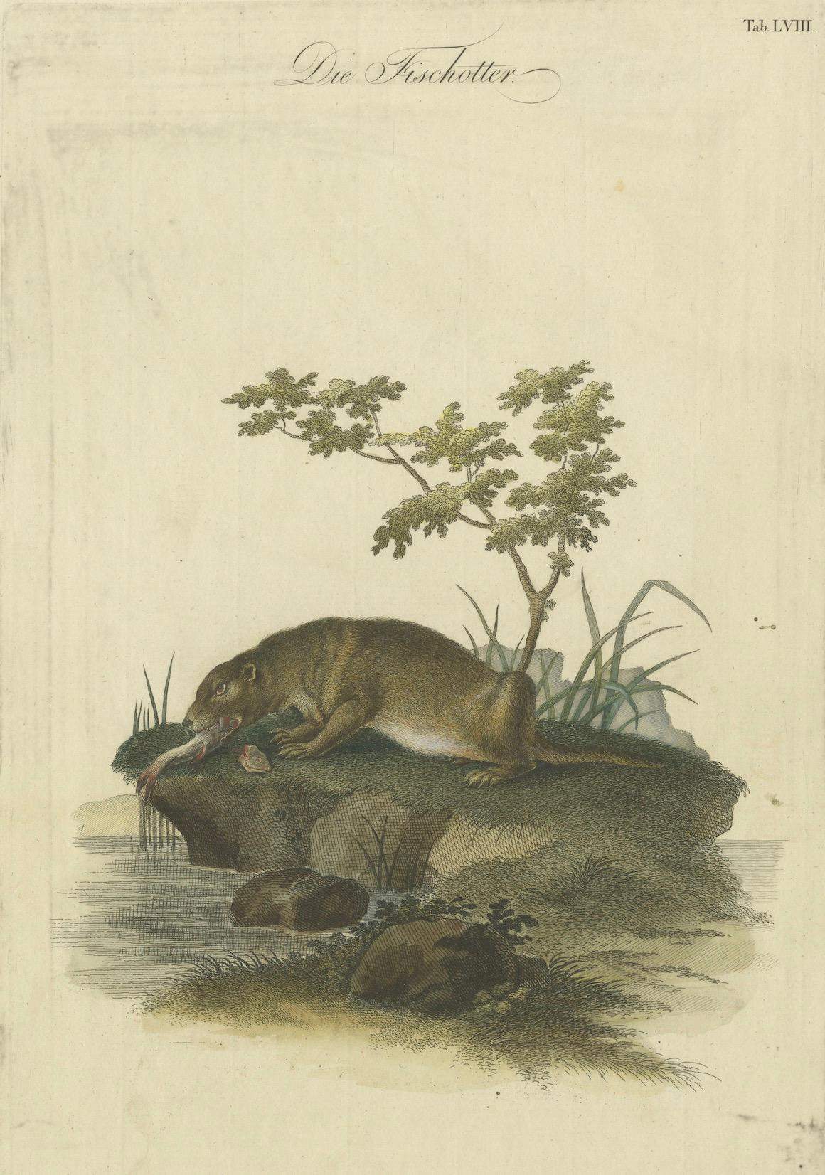 Gravé The Otter's Catch : Un chef-d'œuvre de Johann Meyer, vers 1750 en vente