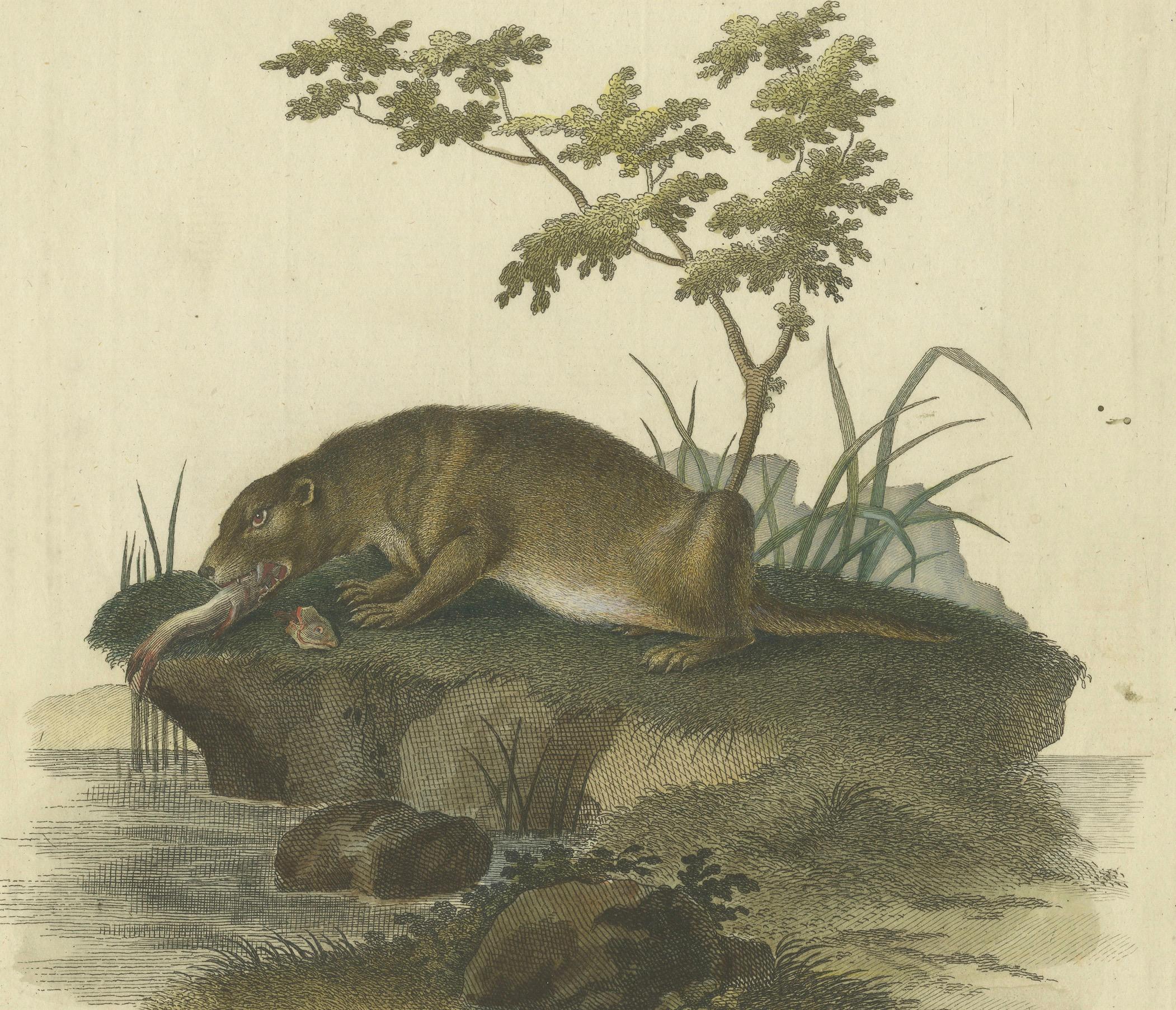 The Otter's Catch : Un chef-d'œuvre de Johann Meyer, vers 1750 Bon état - En vente à Langweer, NL
