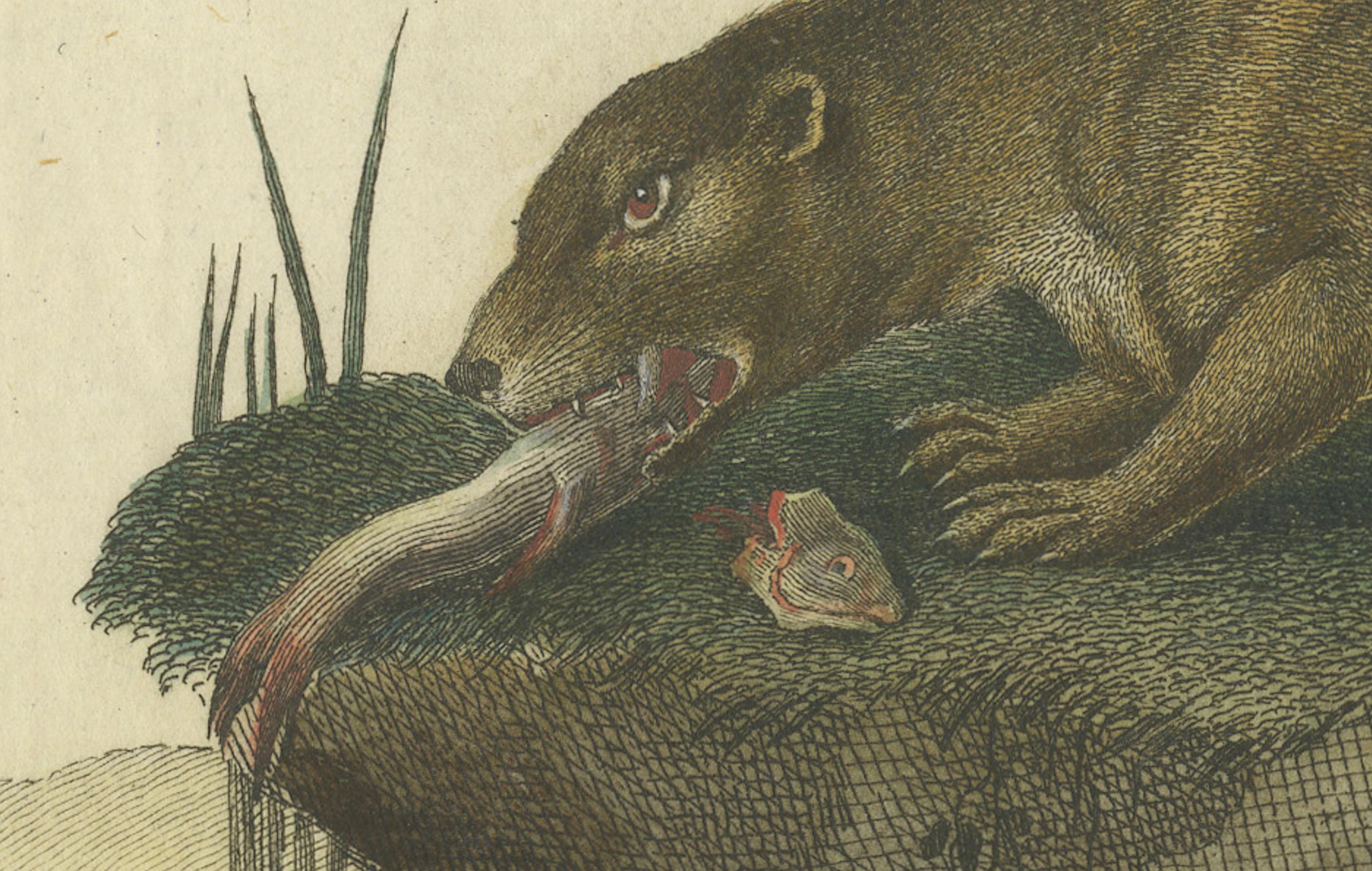 Milieu du XVIIIe siècle The Otter's Catch : Un chef-d'œuvre de Johann Meyer, vers 1750 en vente