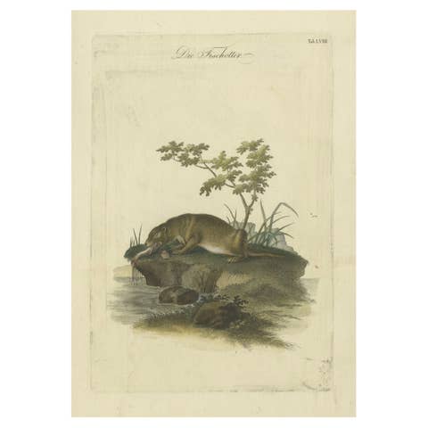 The Otter’s Catch: A Masterpiece Engraving from Johann Daniel Meyer, ca.1750