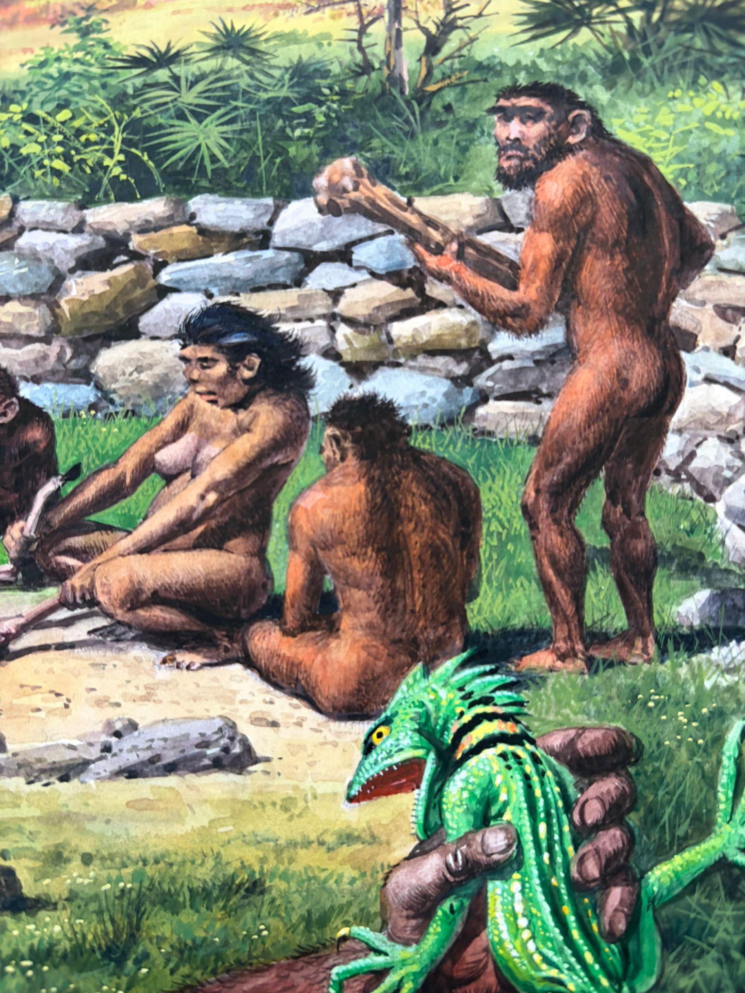 Le phénomène de l'homme - Illustration originale à la gouache de Charles Burki, 1967 Bon état - En vente à Langweer, NL