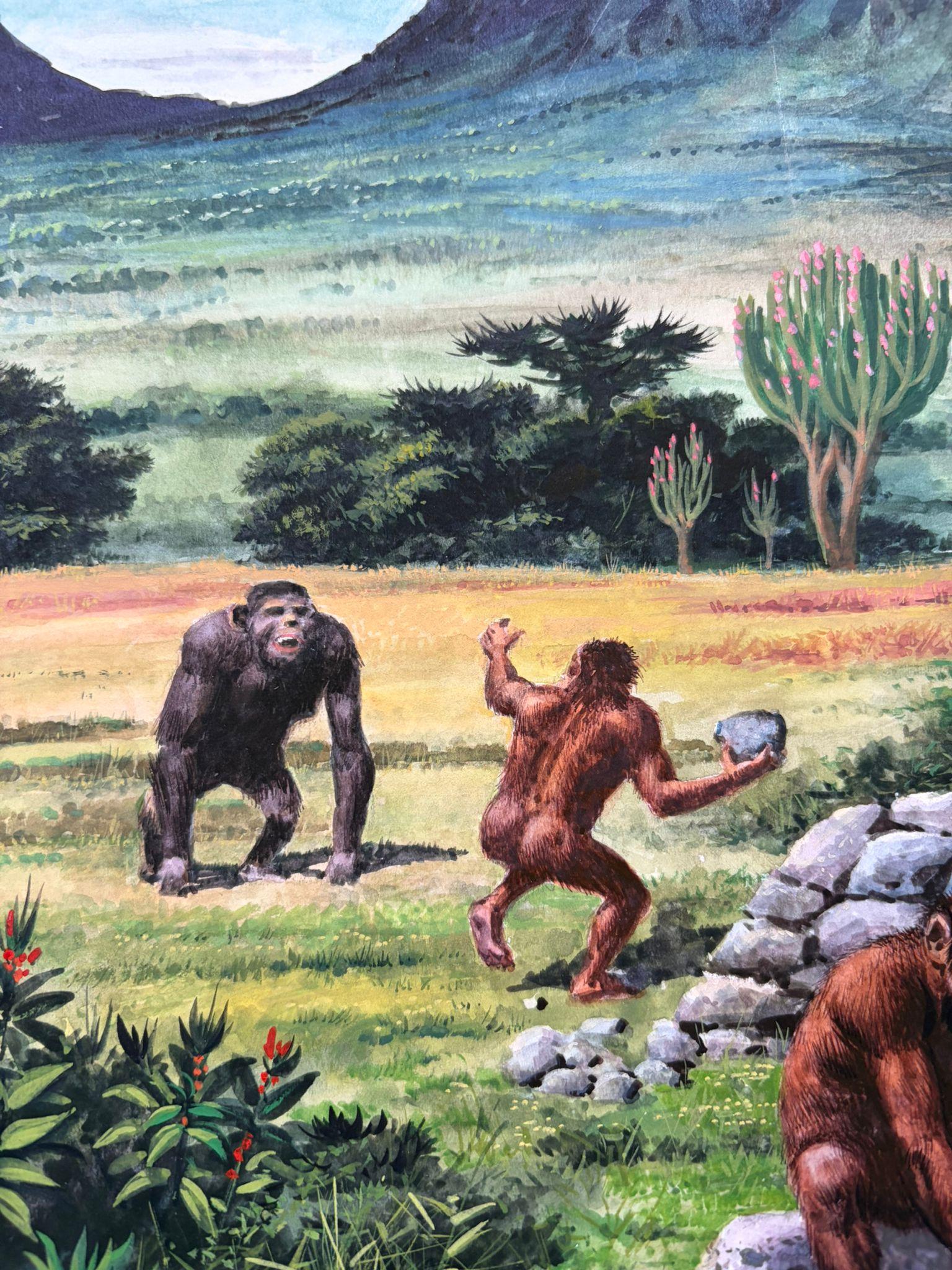 Le phénomène de l'homme - Illustration originale à la gouache de Charles Burki, 1967 en vente 1