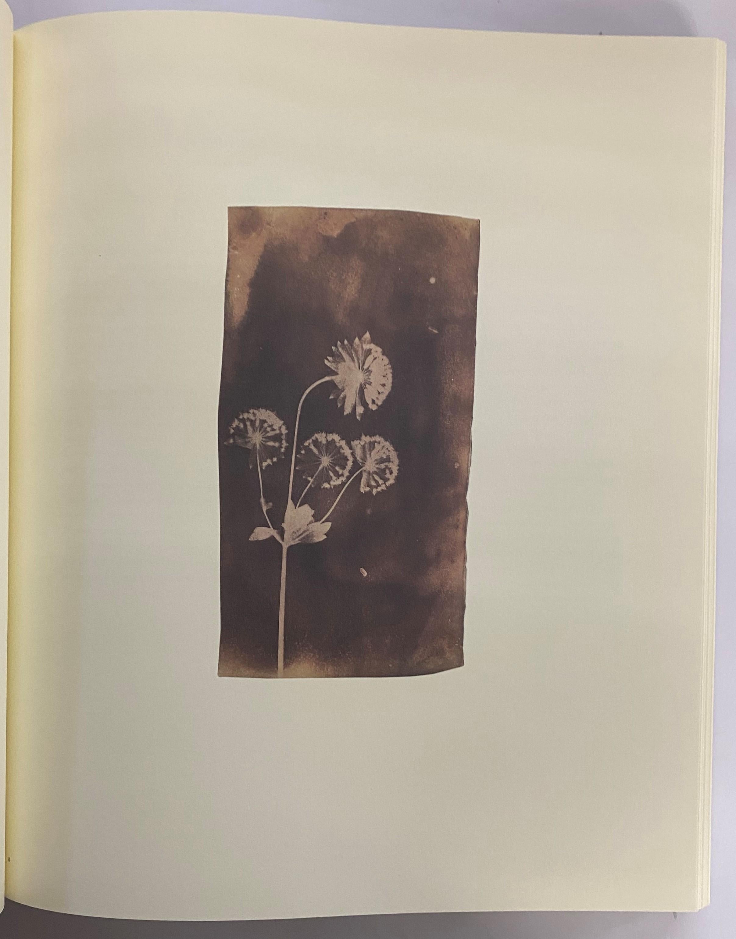 The Photographic Art of William Henry Fox Talbot by Larry J. Schaaf (Book) In Good Condition For Sale In North Yorkshire, GB