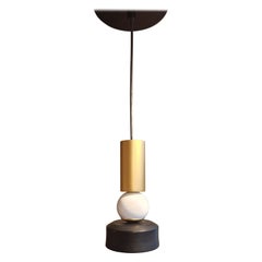 The Pinto Pendant Light in Brushed Brass, Painted Steel with Matt Gold accents