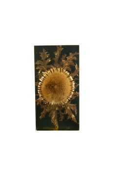 The Preserved Bloom: Mid C Thistle & Leaves in Lucite by Pierre Giraudon, 11.5"H