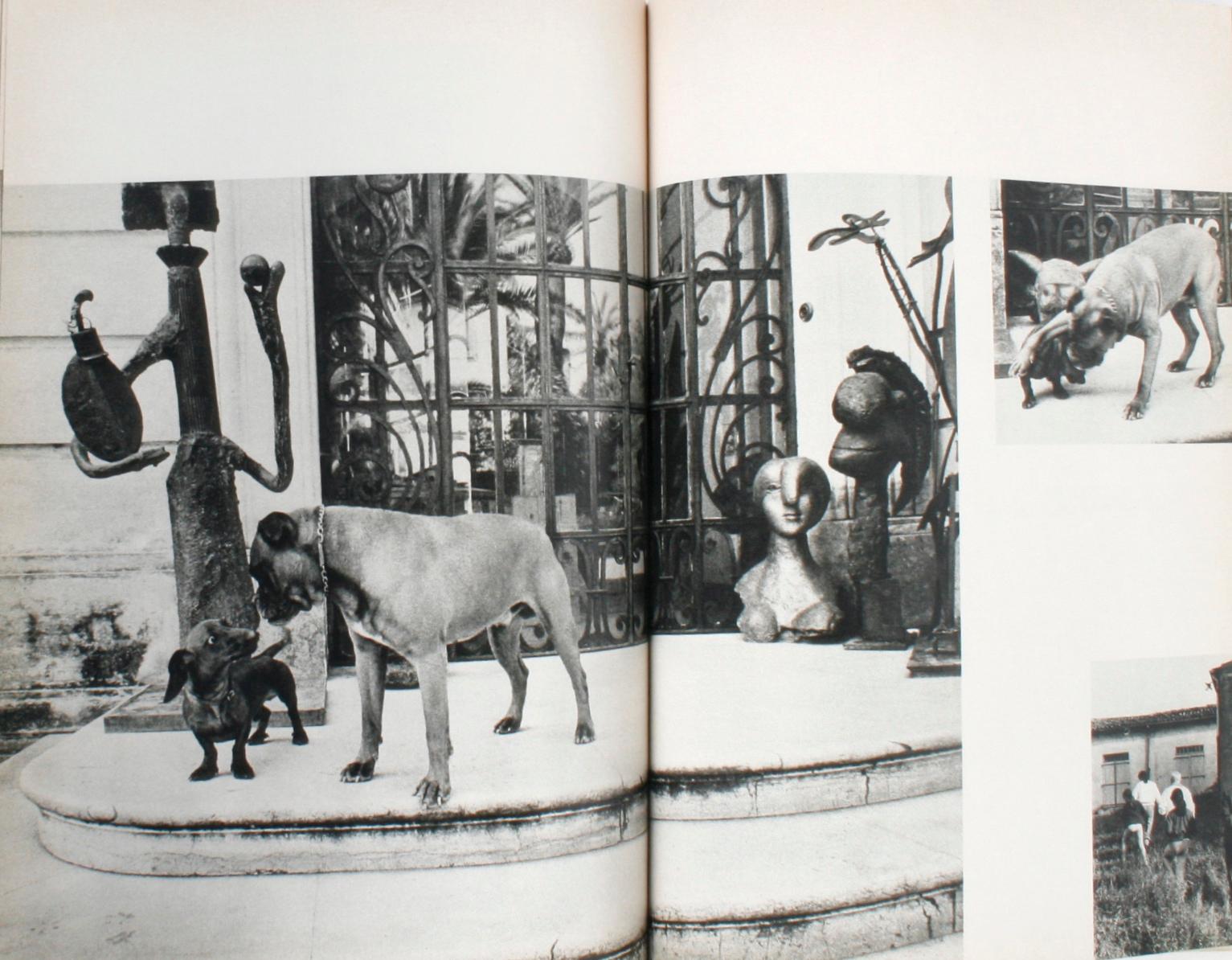 The Private World of Pablo Picasso by David Douglas Duncan 5