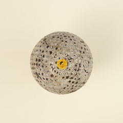 The Professional Golf Ball