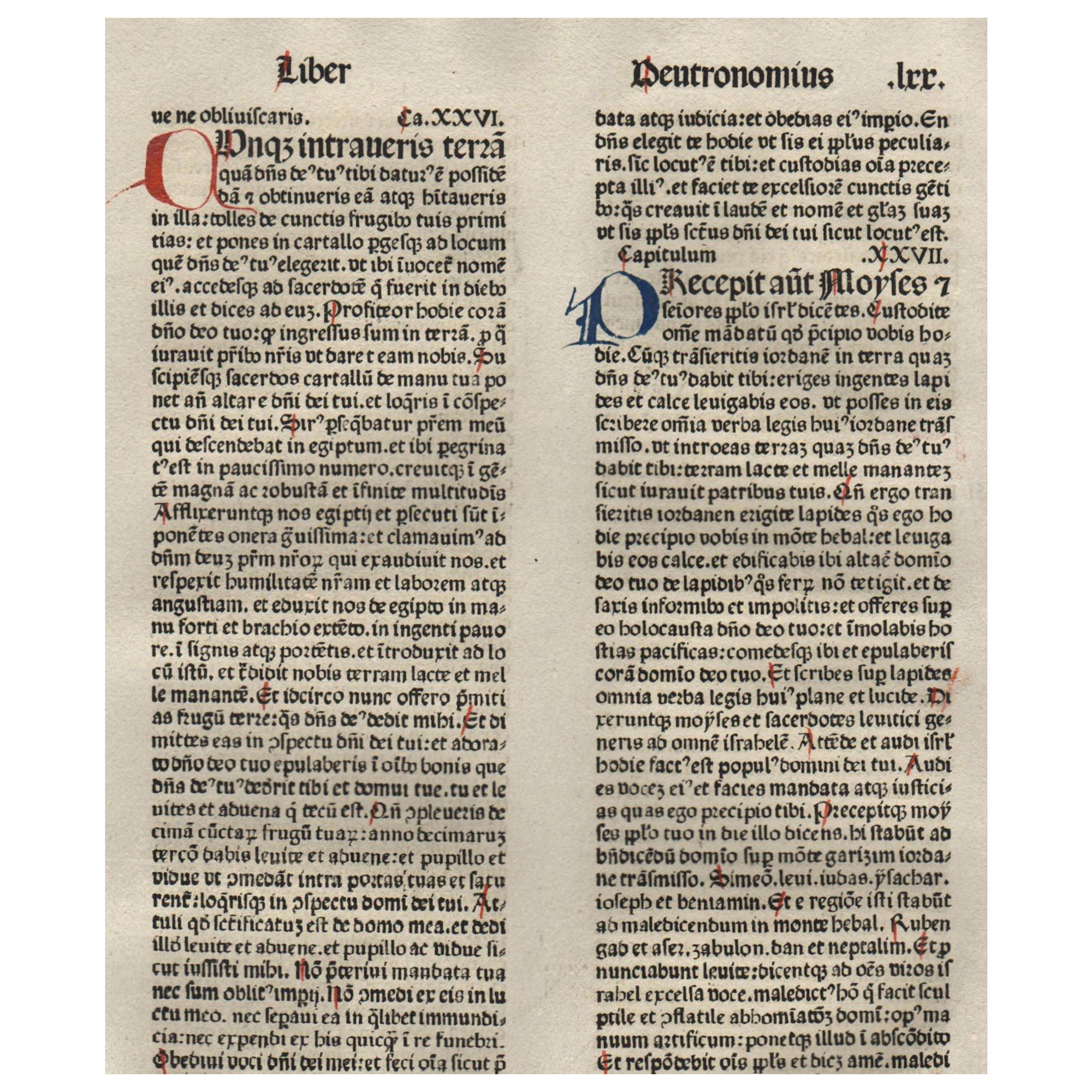 "The Promise" Deuteronomy 26-28, 1479 Large Latin Bible Leaf Medieval Incunabula For Sale