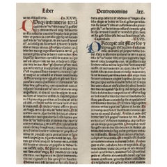 "The Promise" Deuteronomy 26-28, 1479 Large Latin Bible Leaf Medieval Incunabula