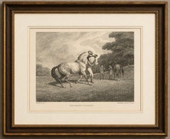 « L'étalon de course », gravure équestre de Samuel Howitt, Angleterre, 1800