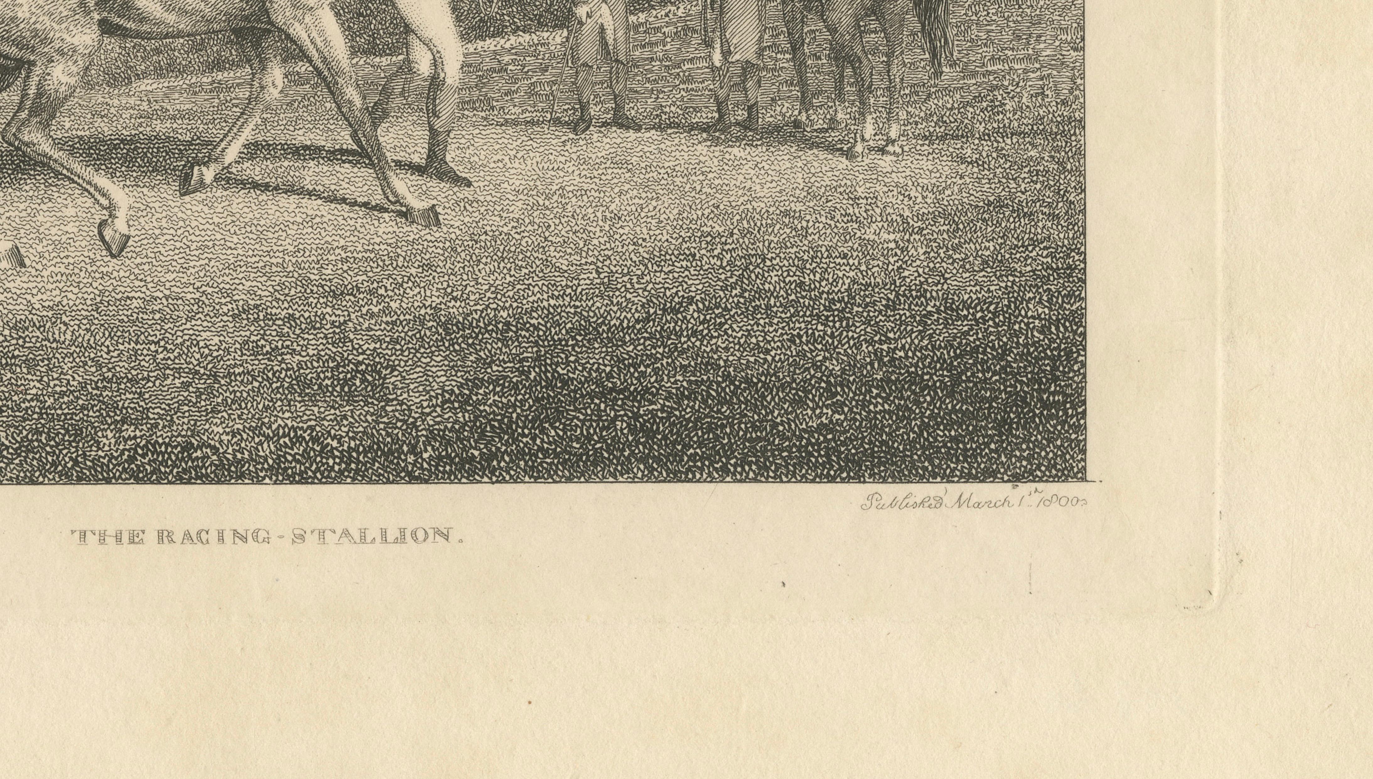 The Racing Stallion, Samuel Howitt Equestrian Engraving, England, 1800