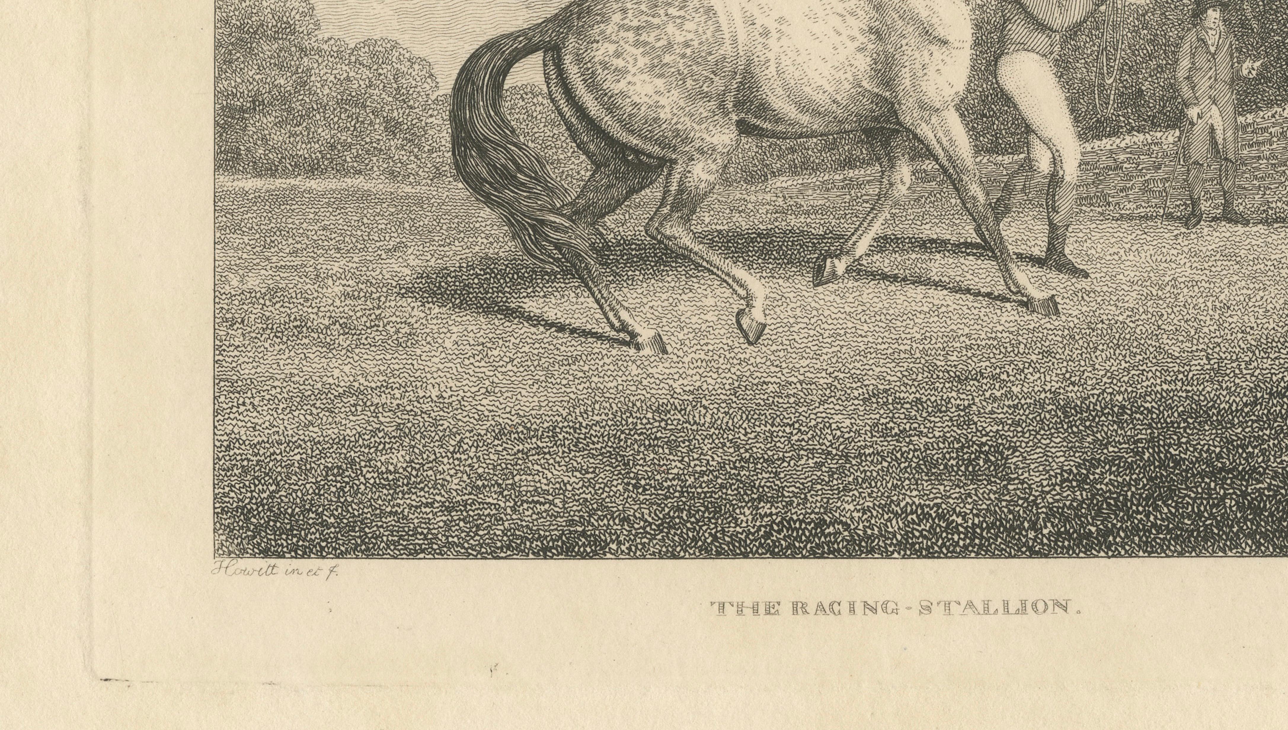 The Racing Stallion, Samuel Howitt Equestrian Engraving, England, 1800