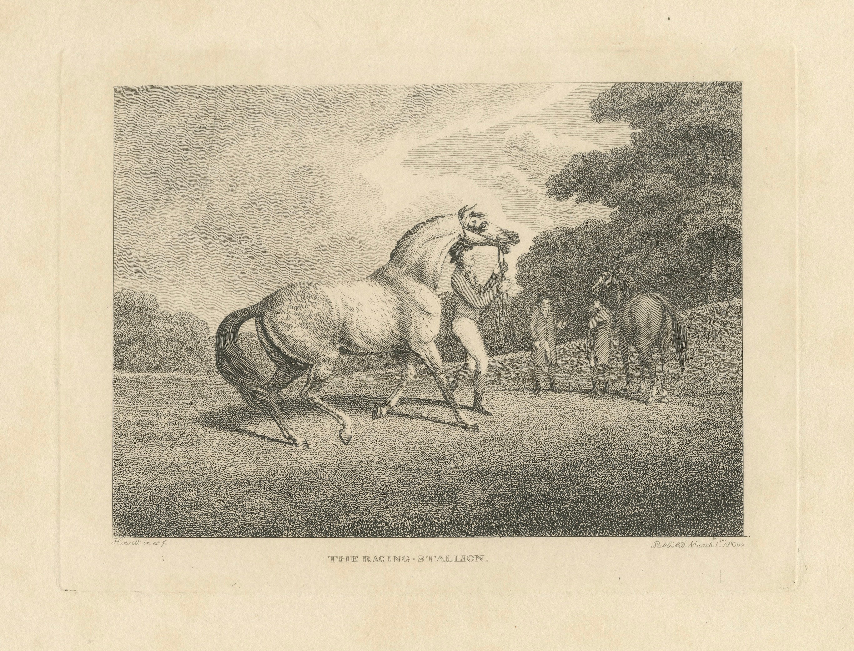 The Racing Stallion, Samuel Howitt Equestrian Engraving, England, 1800